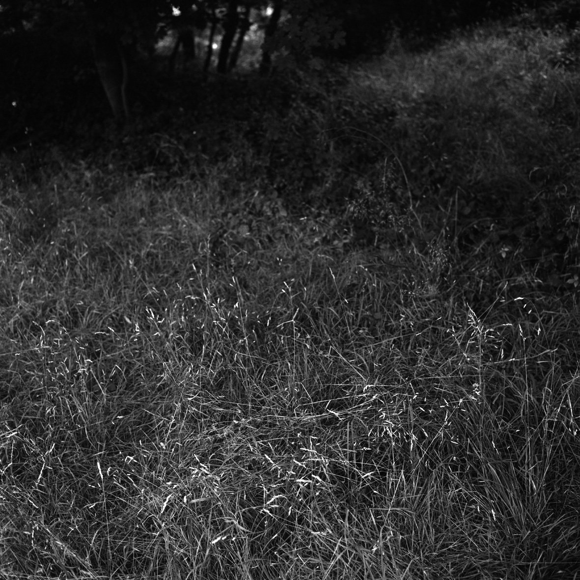 Thier-à-Liège 09/08/88