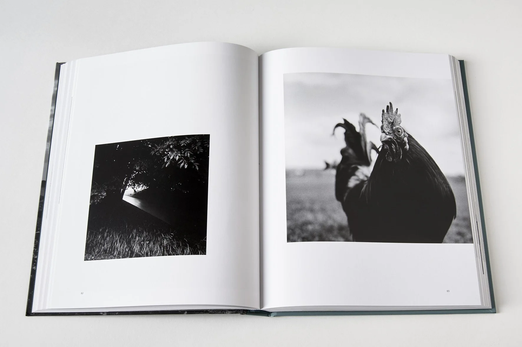 Par ouï dire - Façon de voir, Fabrice Kada - Ω