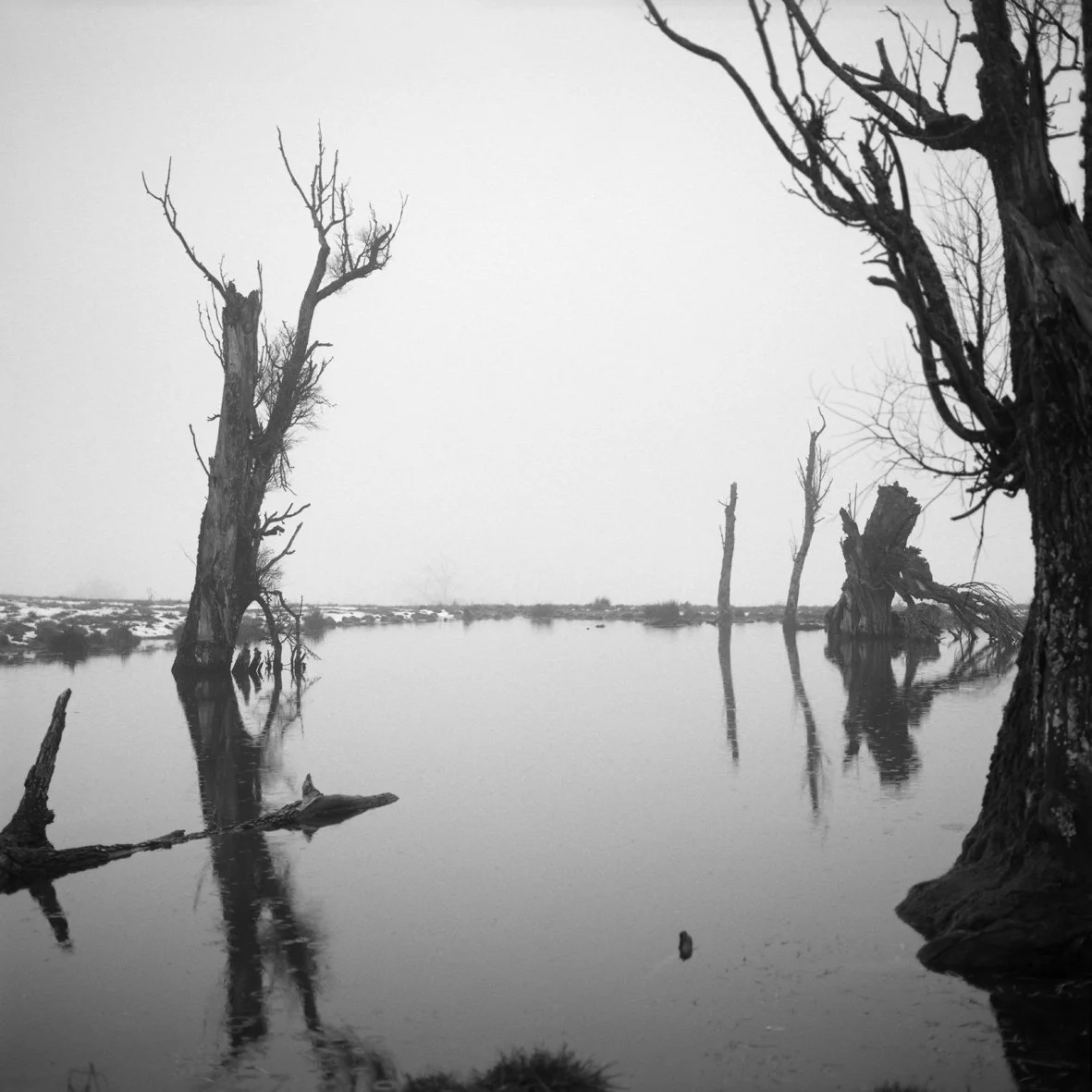 Toutes les photographies sur ces pages sont d'Alain Janssens