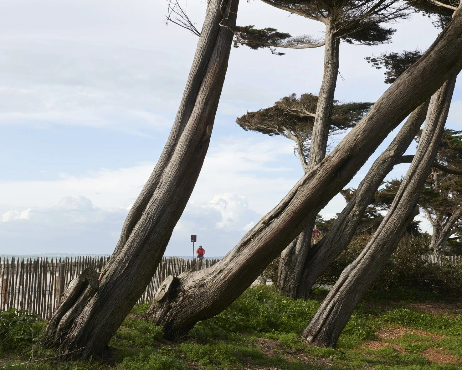 © alain janssens_4844_0217.jpg