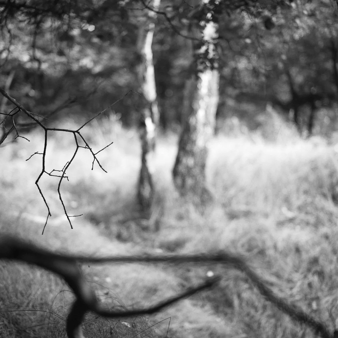 Thier-à-Liège 09/08/88