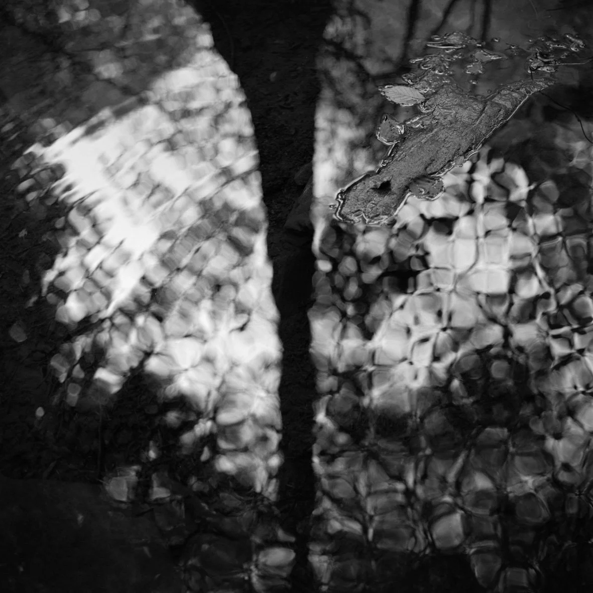 Derrière le tiers (Lienne) 300992