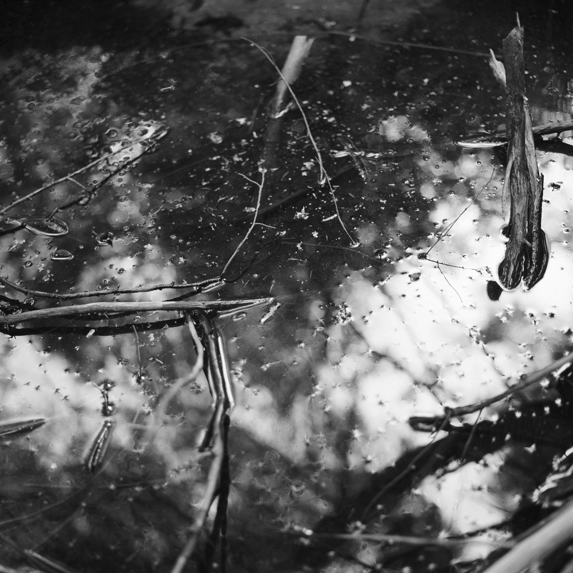 Val de Senones 28/08/93