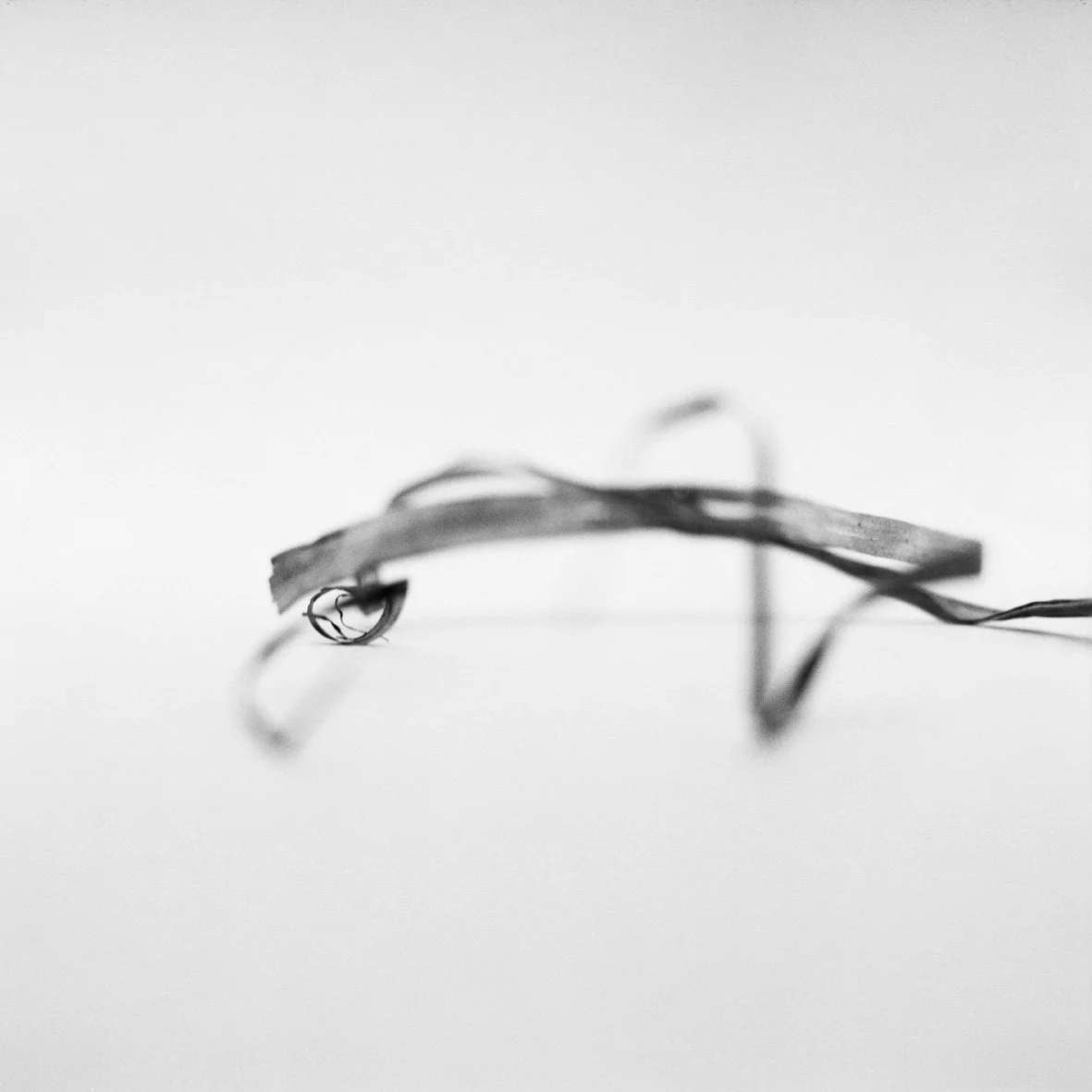 Lac des vieilles forges 21/02/07