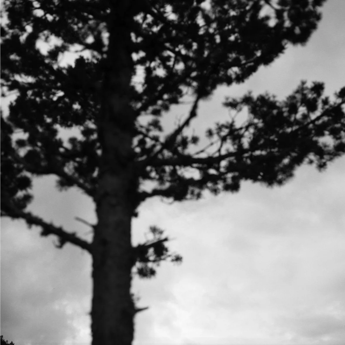 Fundingsland 21/07/12