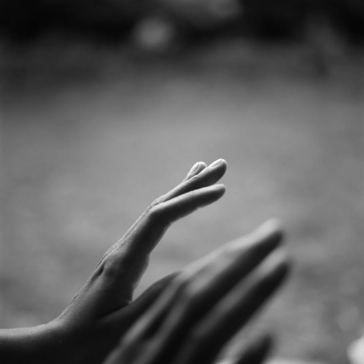 Peau. Pelage.  Paysage.