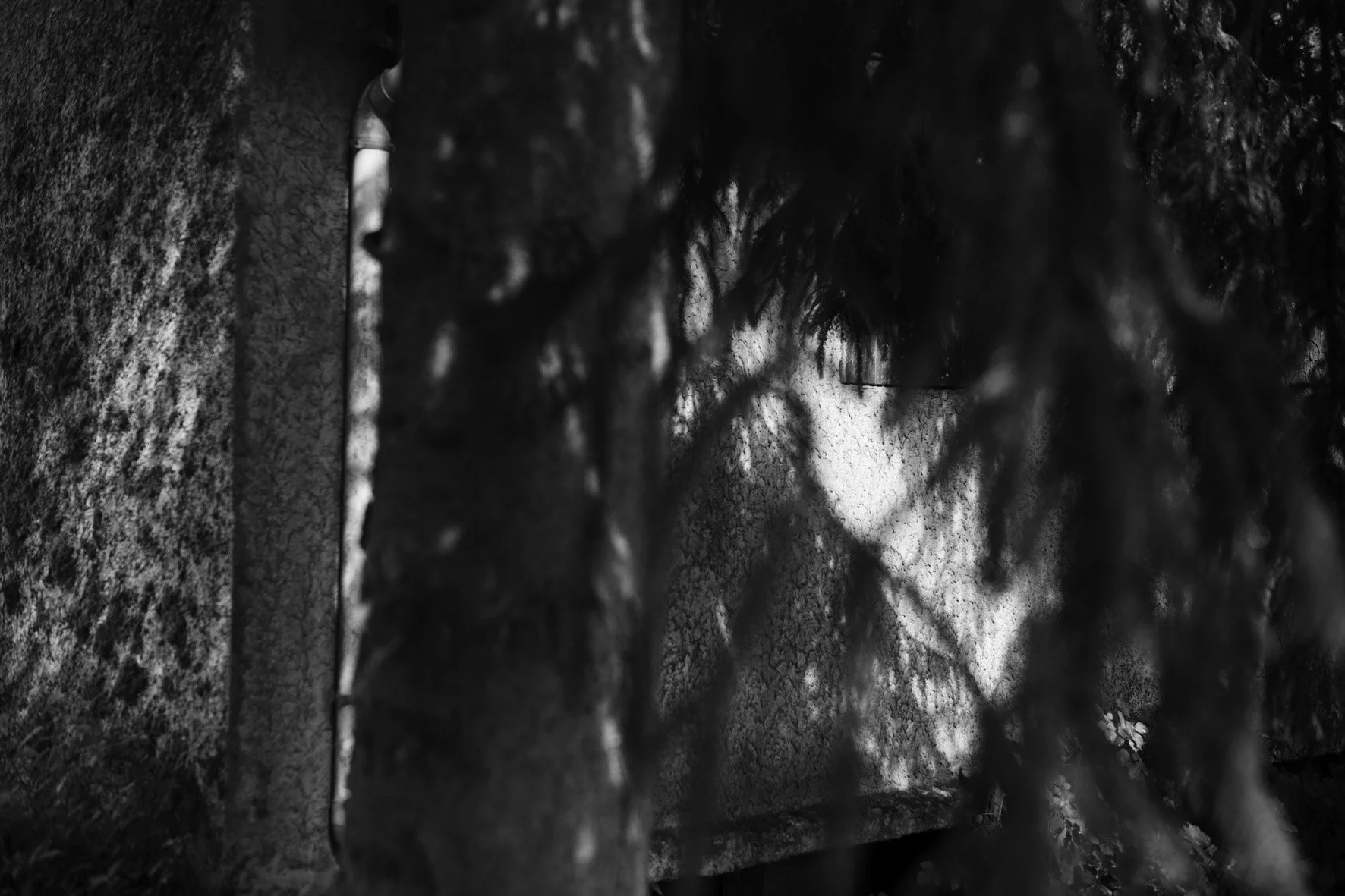 Olizy-Primat 09/09/25