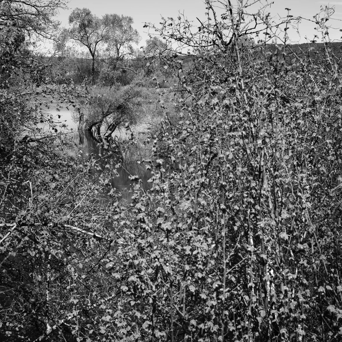 Brécy-Brières 18/04/22