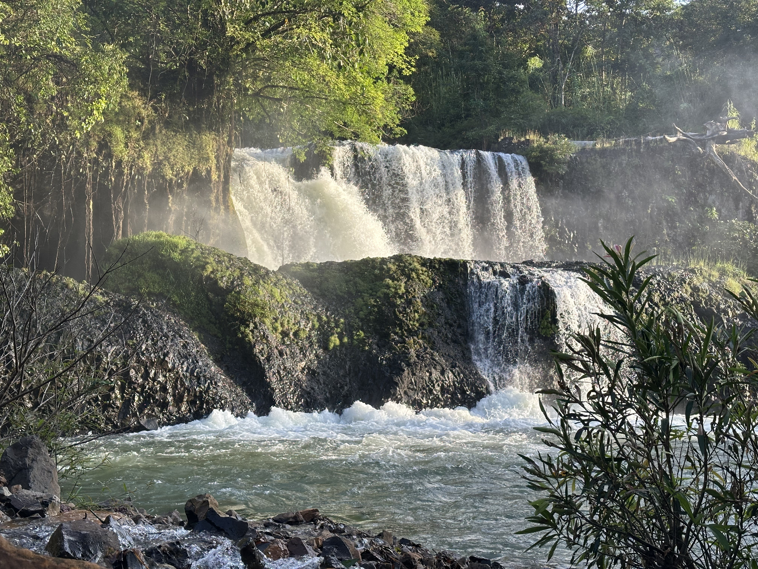 Venez surfer la rivière Tatai en bateau et y découvrir sa magnifique cascade