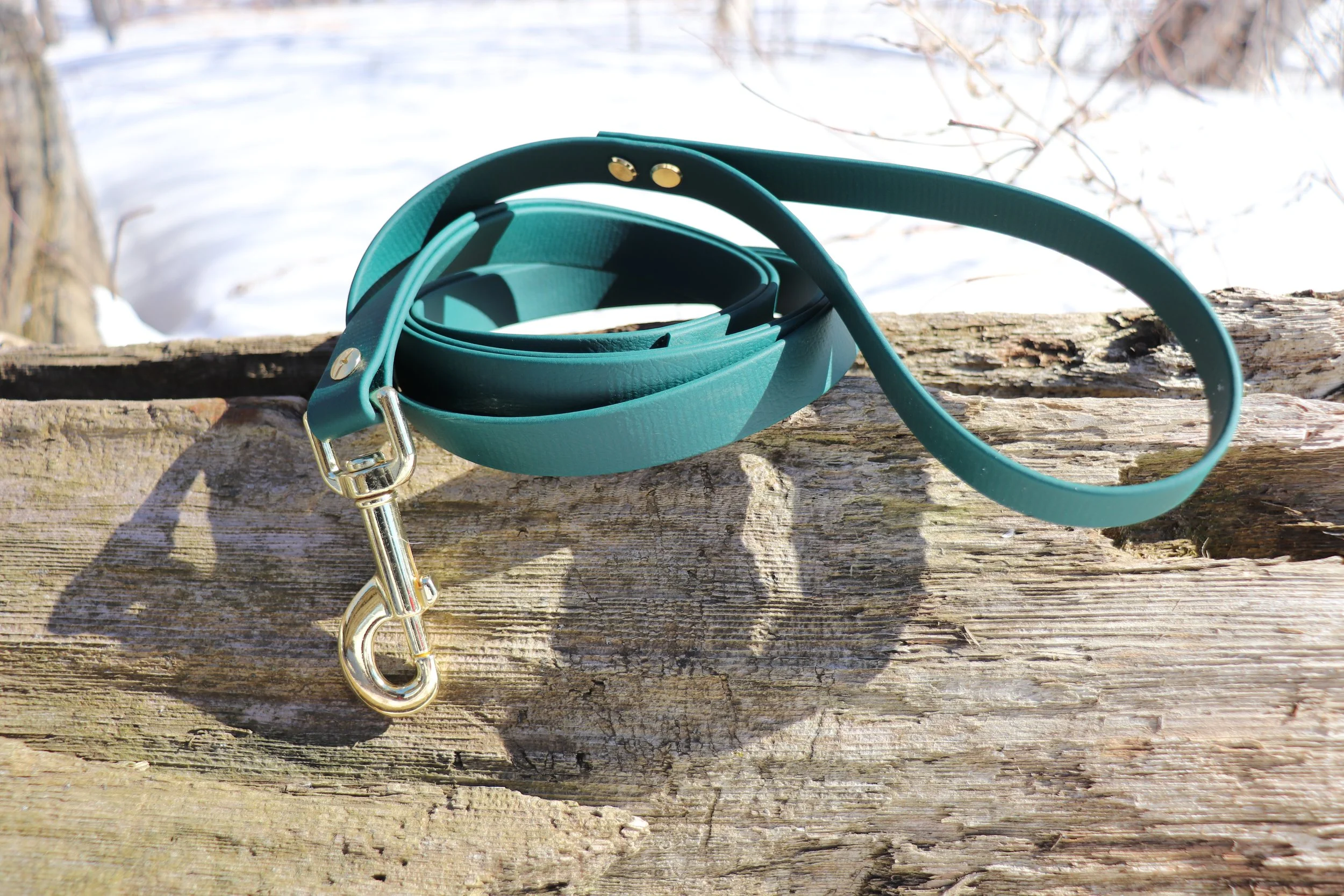 Laisse simple - Vert Forêt