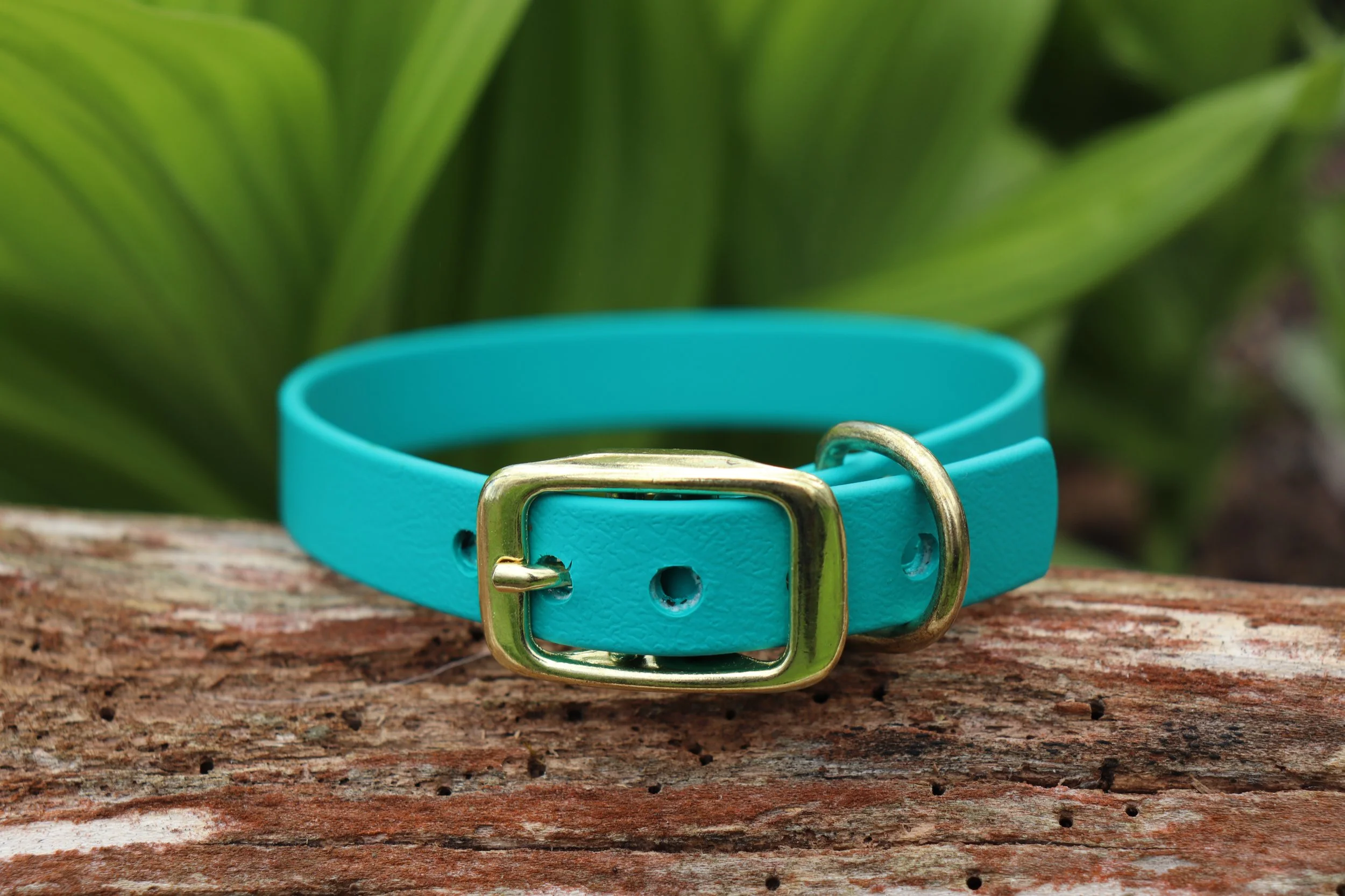 Biothane Pur Mini - Turquoise
