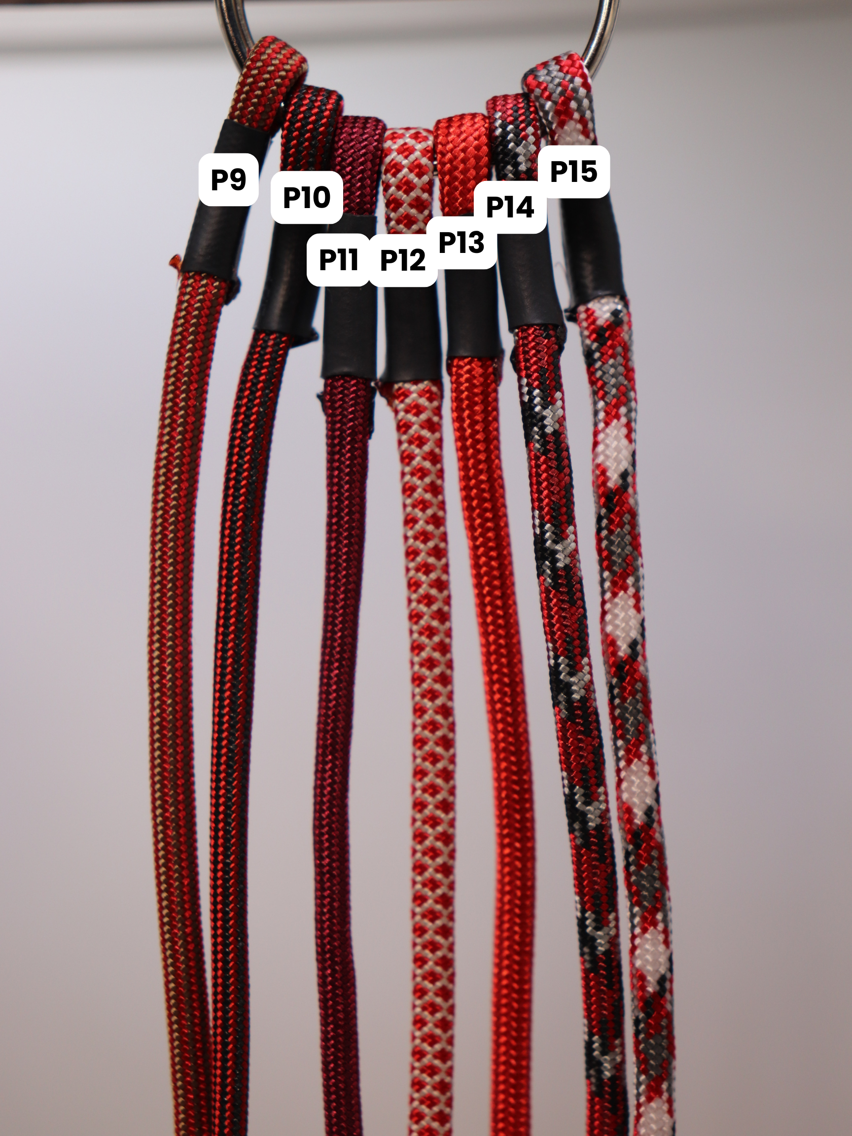 Paracorde (2).png