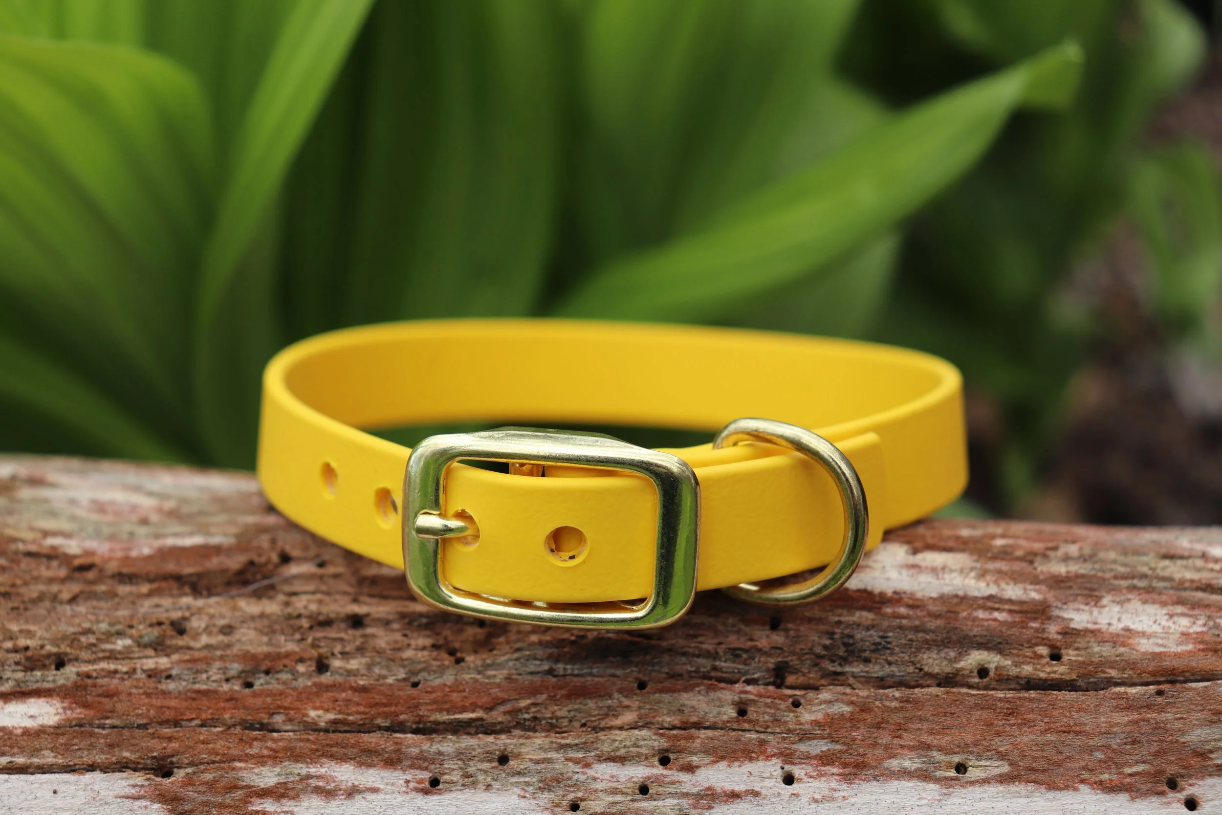 Biothane Pur Mini - Jaune