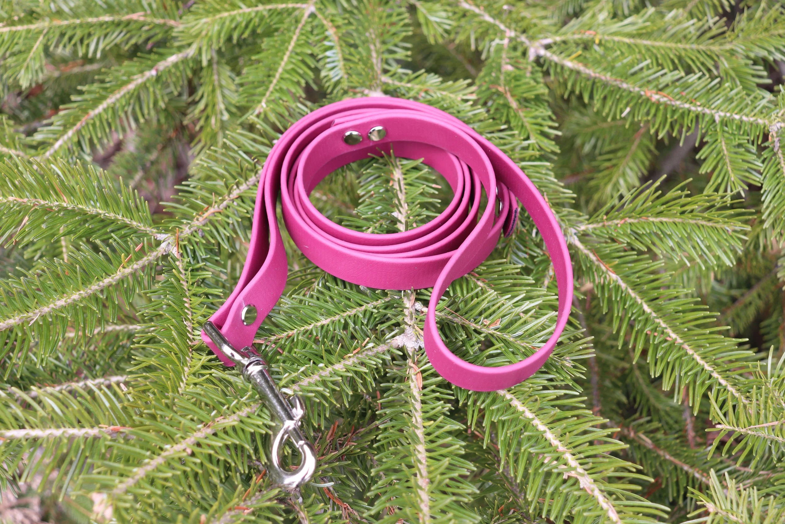 Laisse simple - Fushia