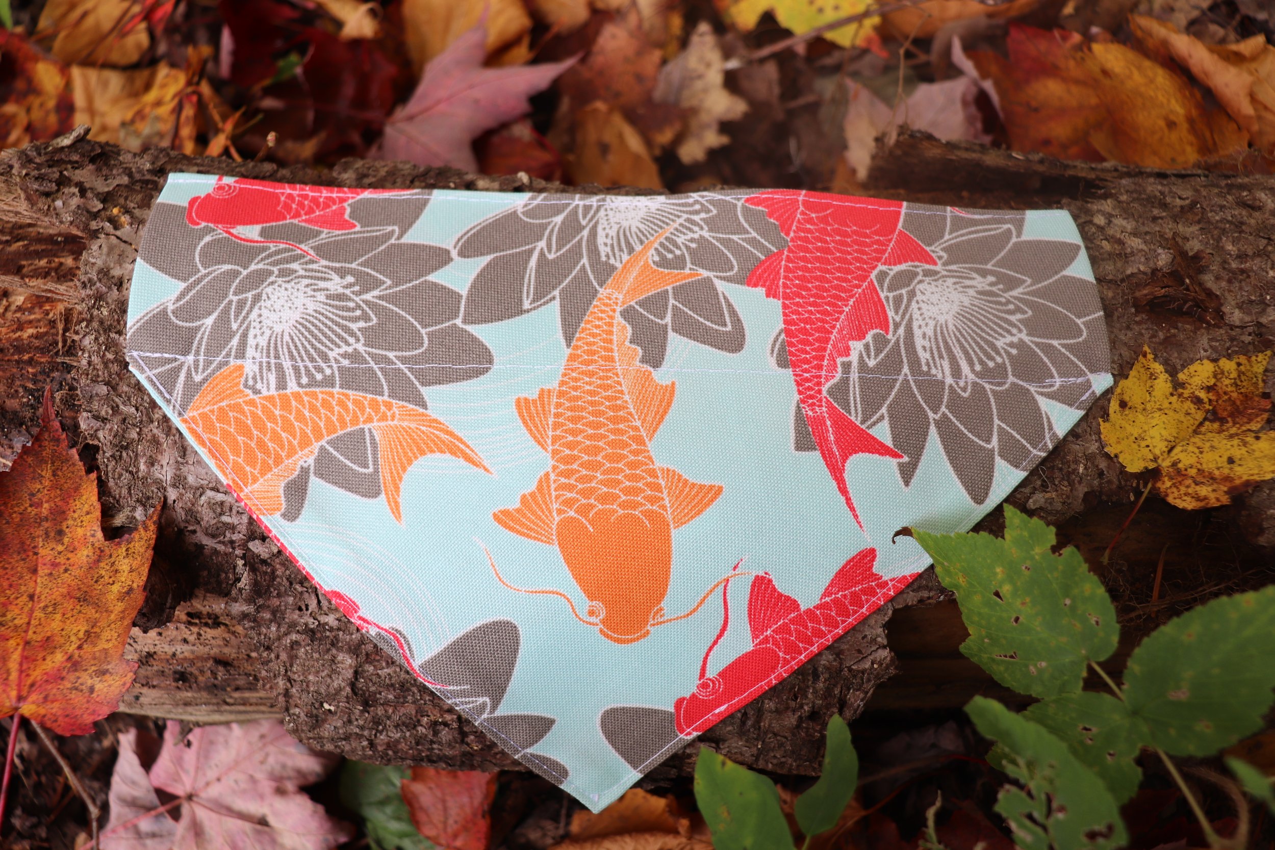Foulard - Poisson