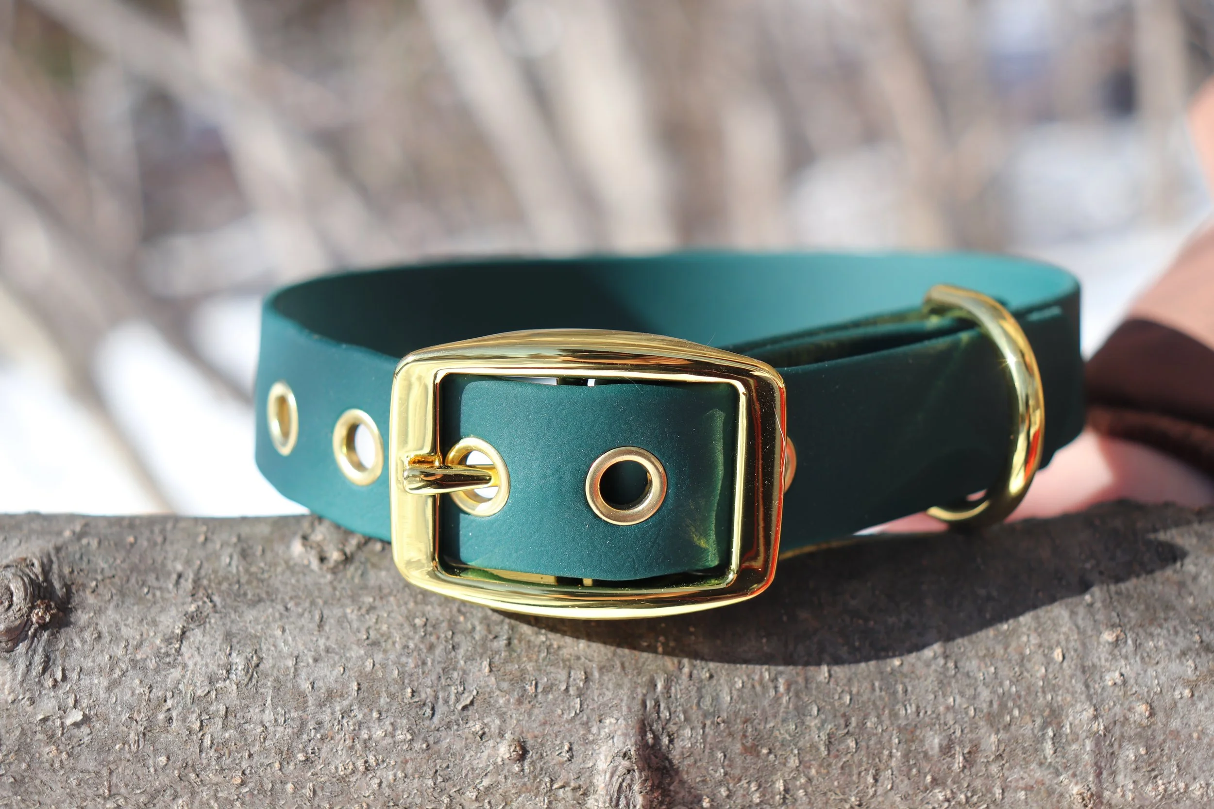 Biothane Pure - Vert Forêt