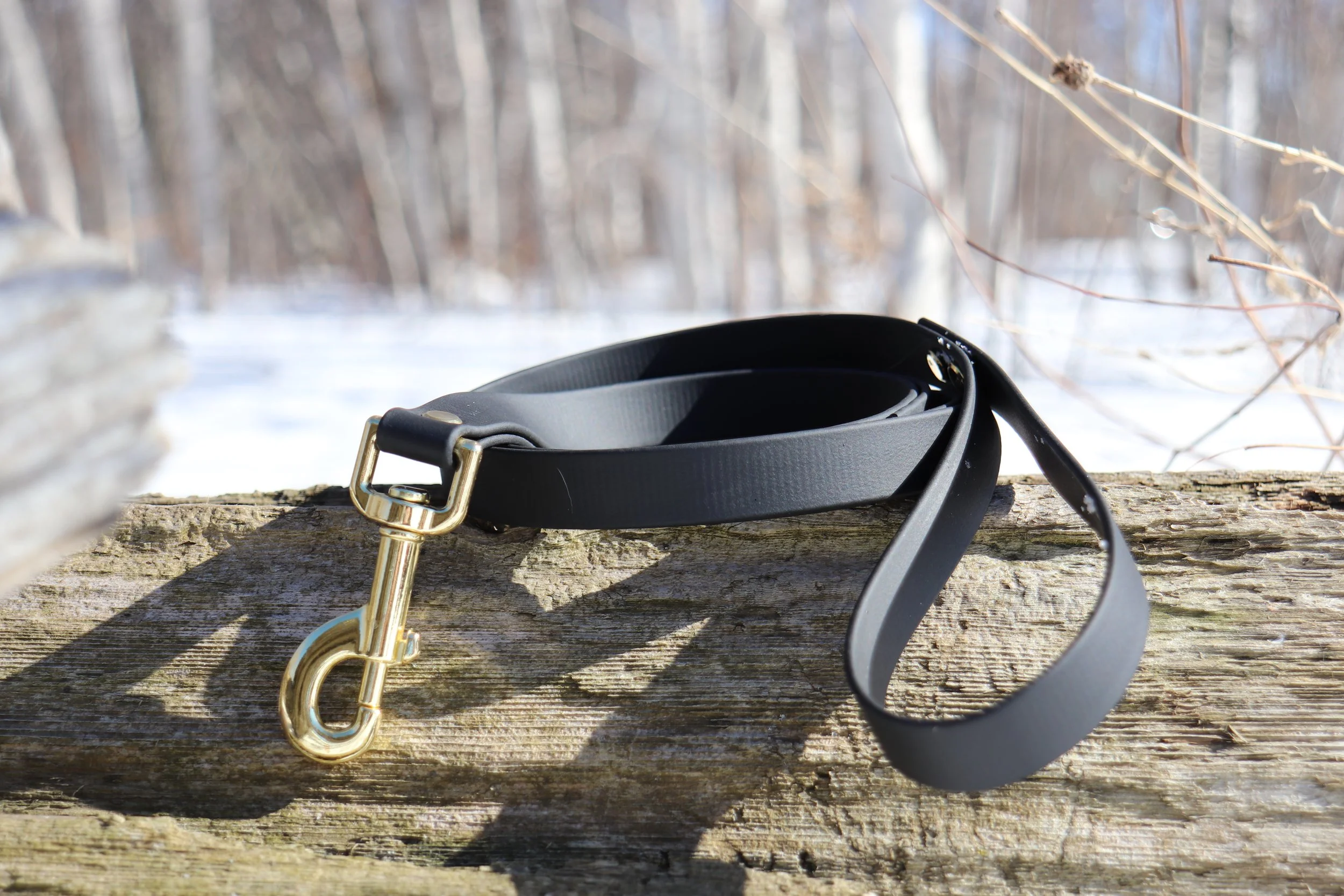 Laisse simple - Noir