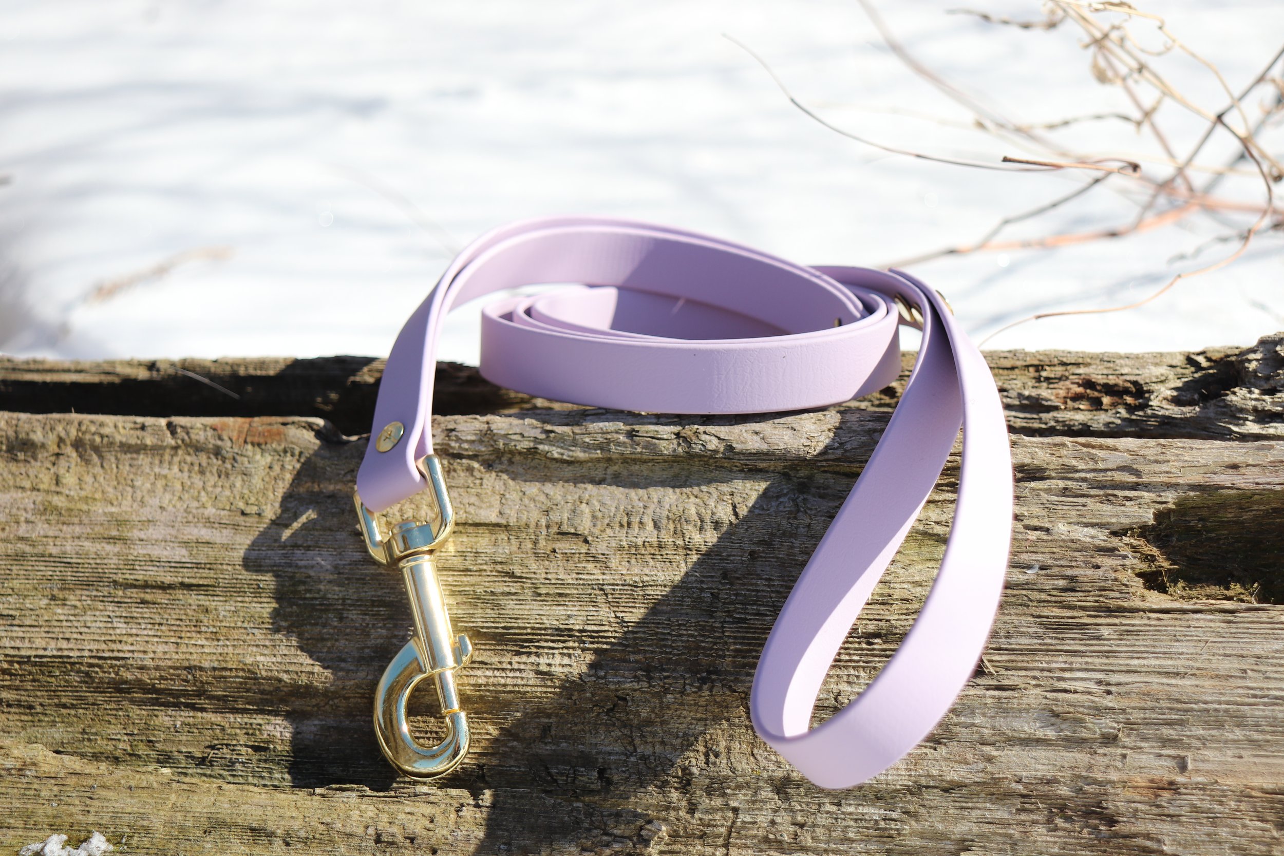 Laisse simple - Lavande