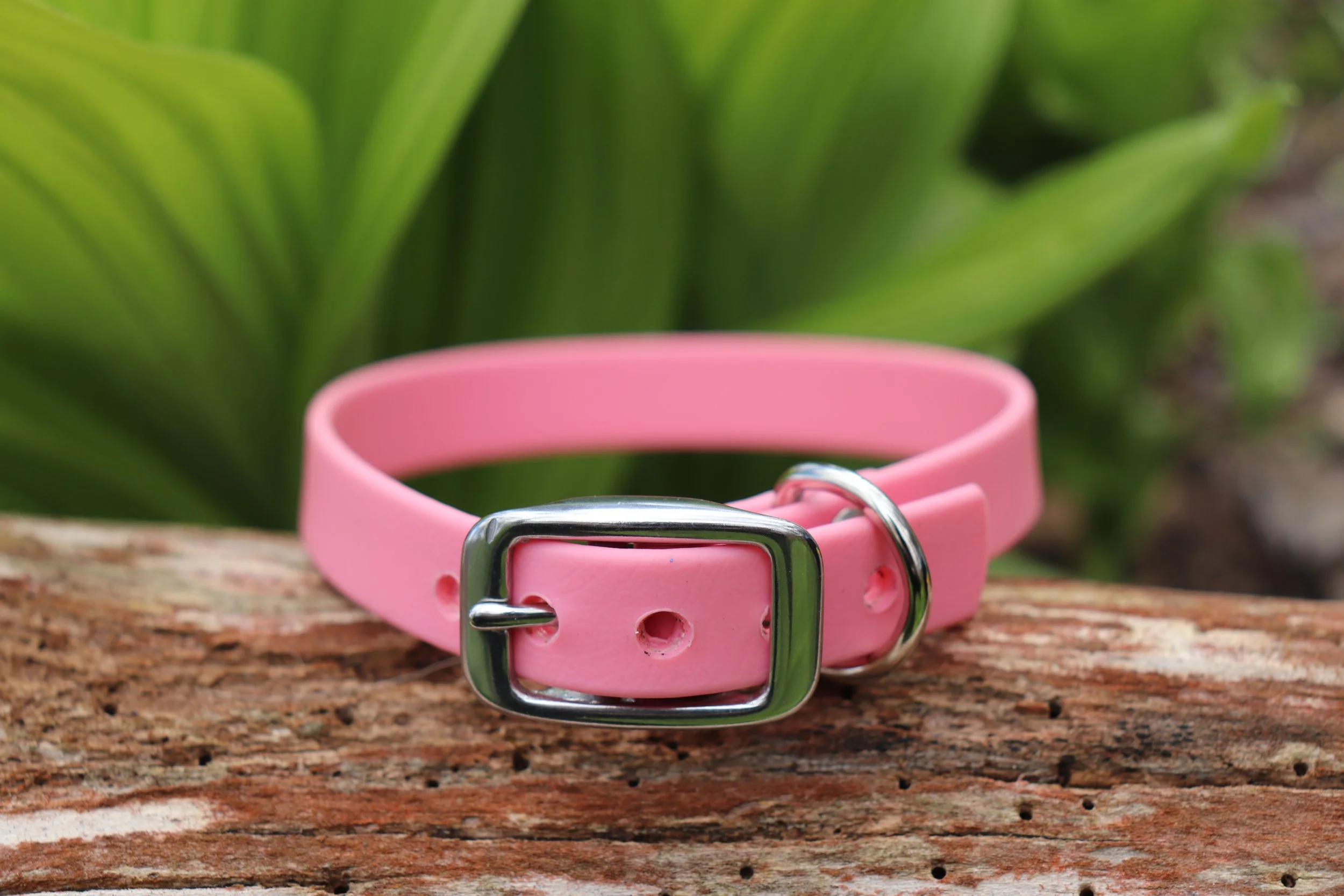 Biothane Pur Mini - Rose