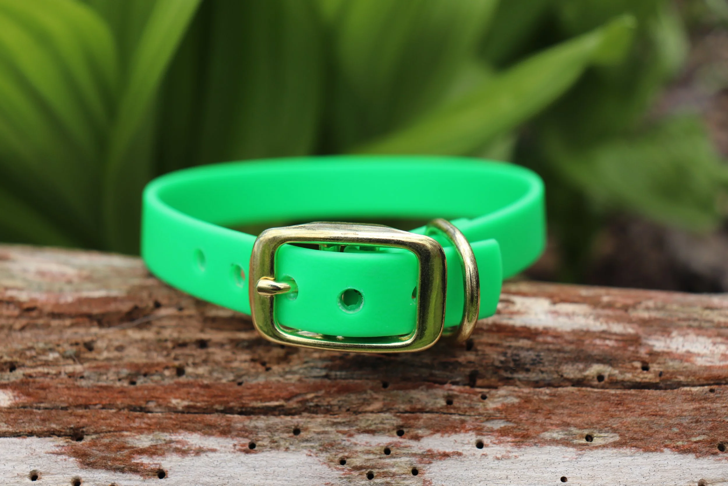 Biothane Pur Mini - Vert Néon
