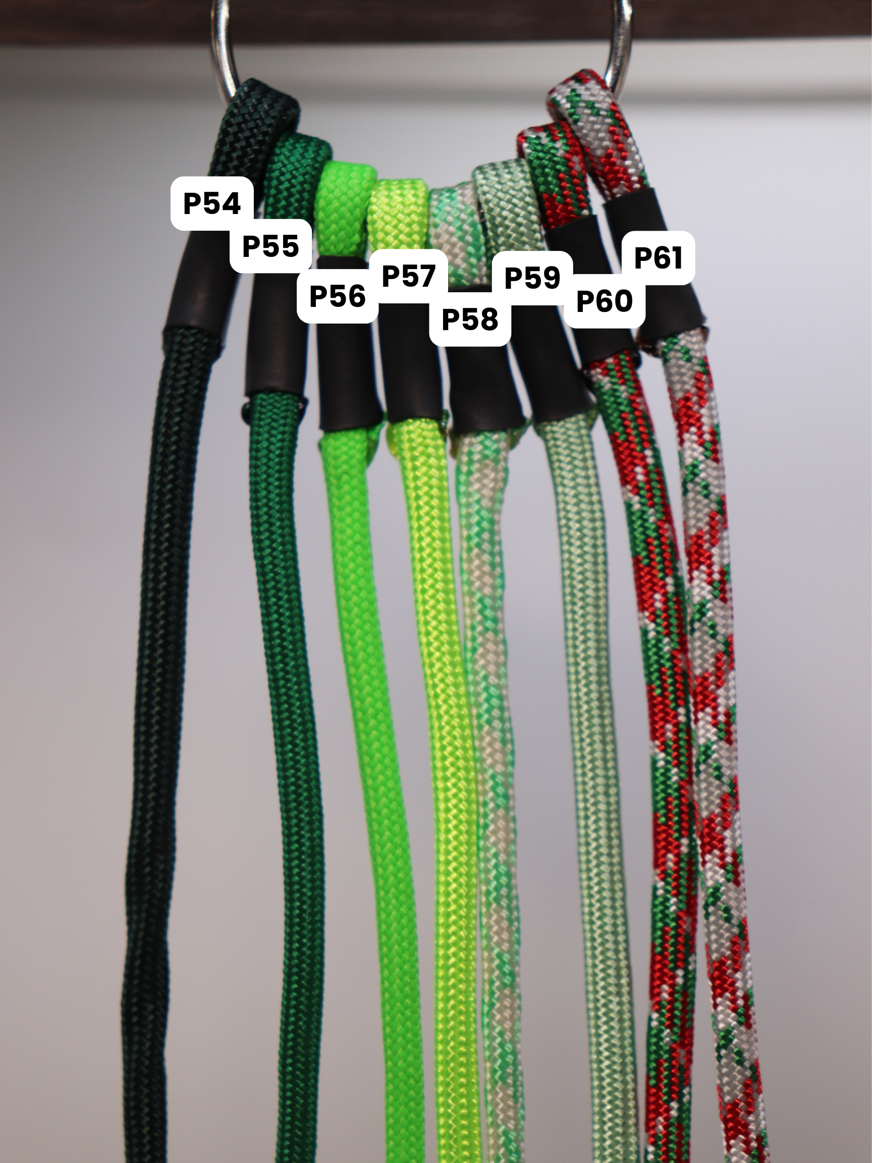 Paracorde (7).png
