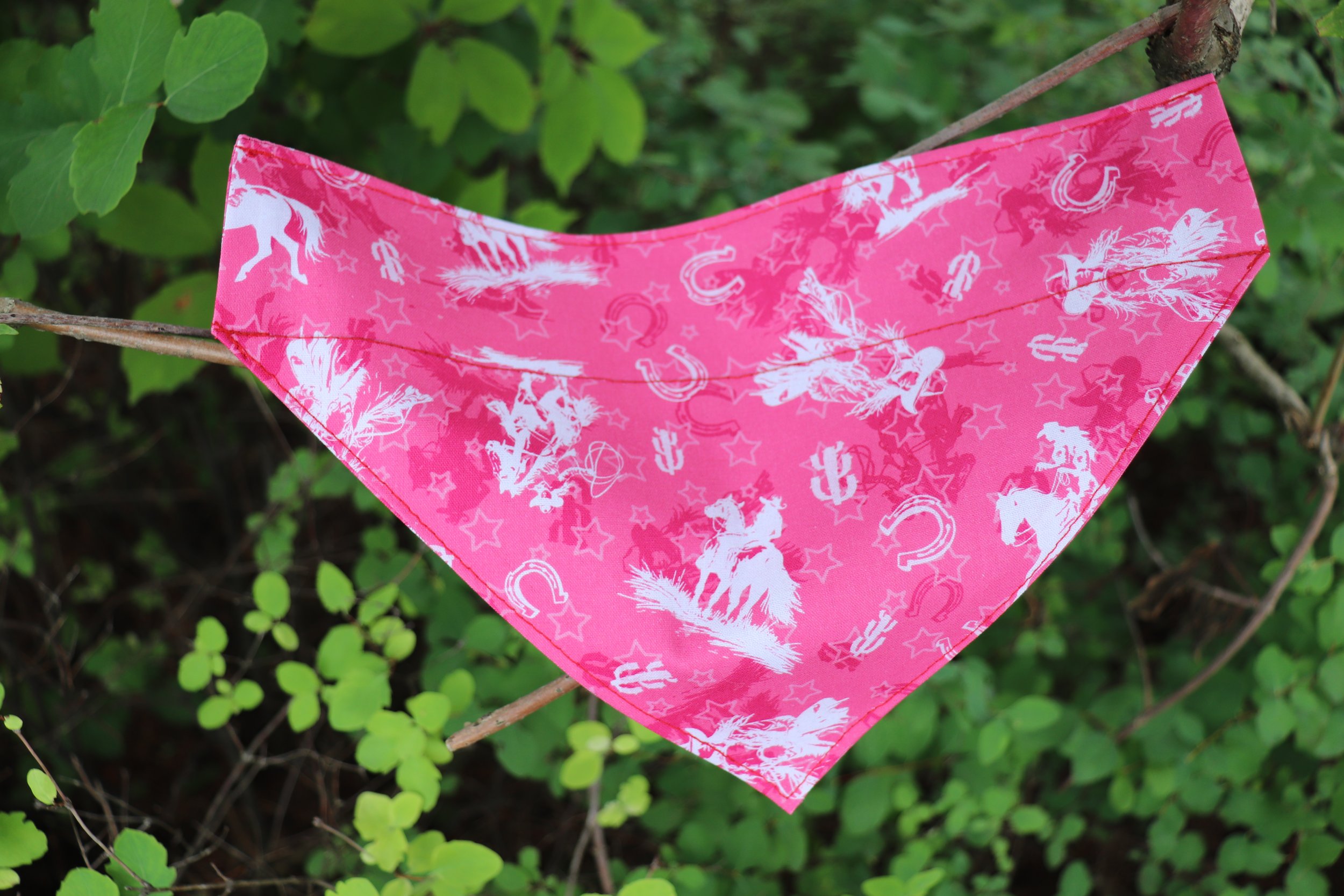 Foulard - CowGirls