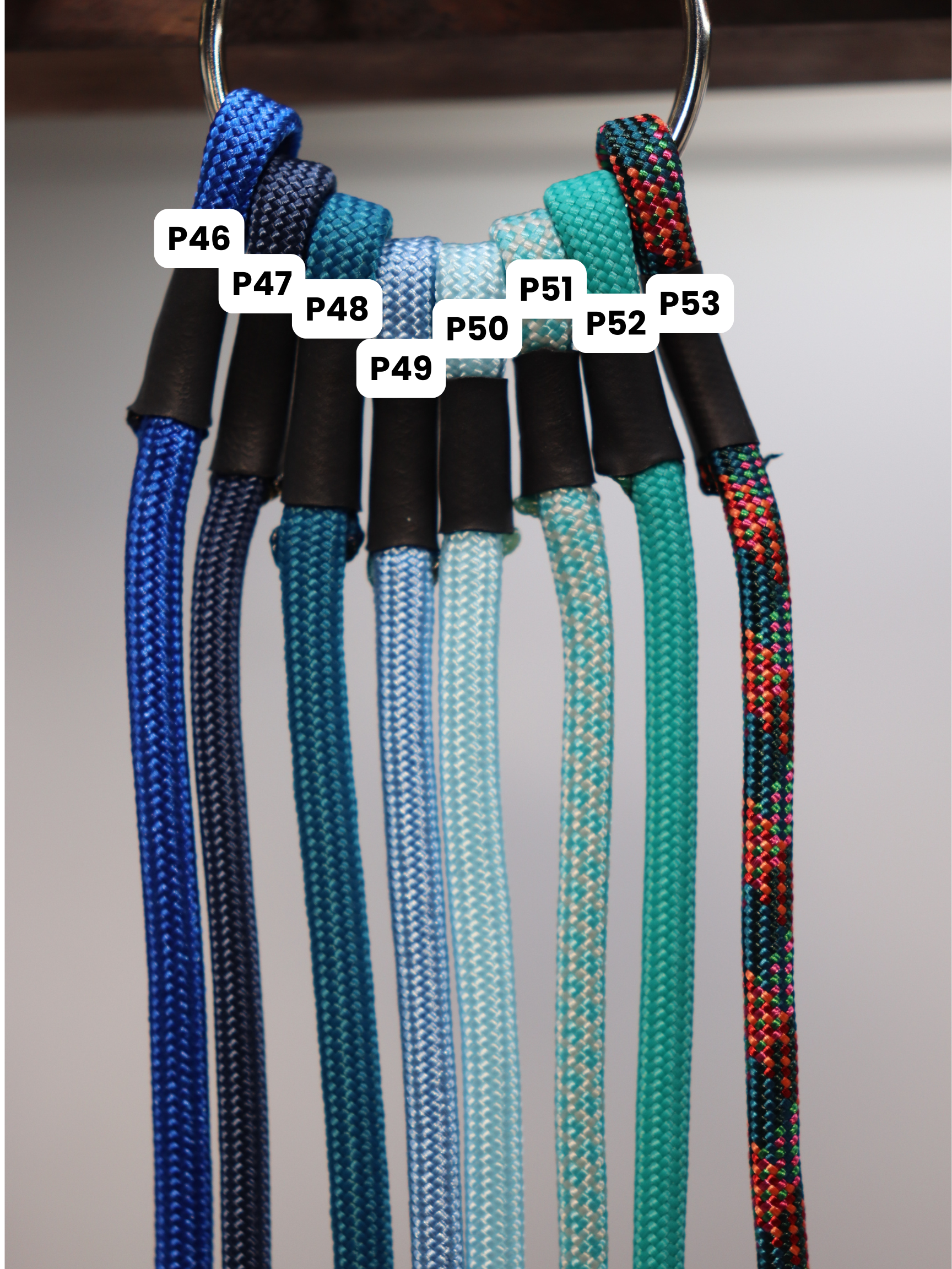 Paracorde (6).png