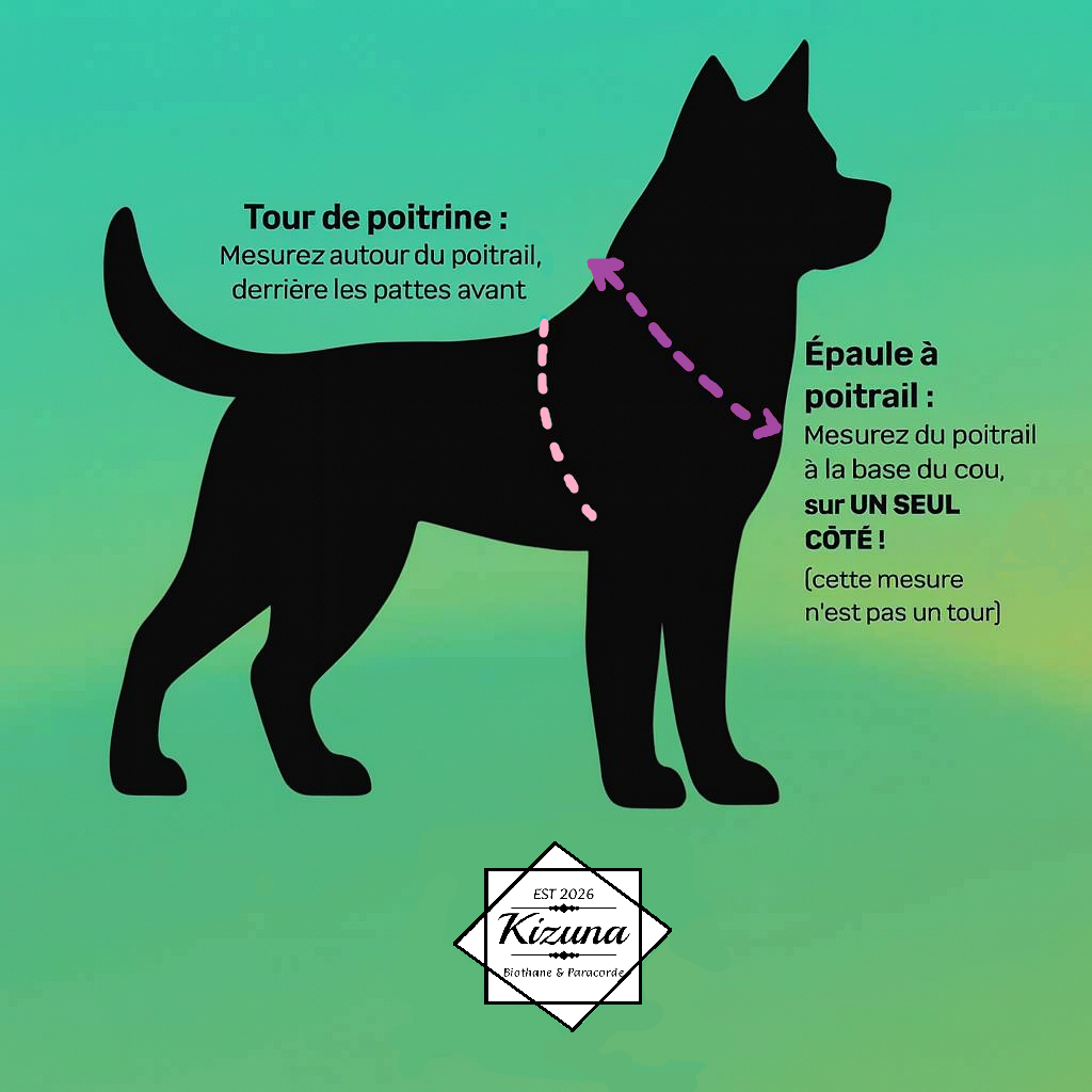 Schéma indiquant comment mesurer la circonférence du cou d'un chien afin de déterminer la taille de la couverture ou du harnais nécessaire. Il montre où prendre la mesure, derrière la tête et à la base du cou d'un chien silhouette.