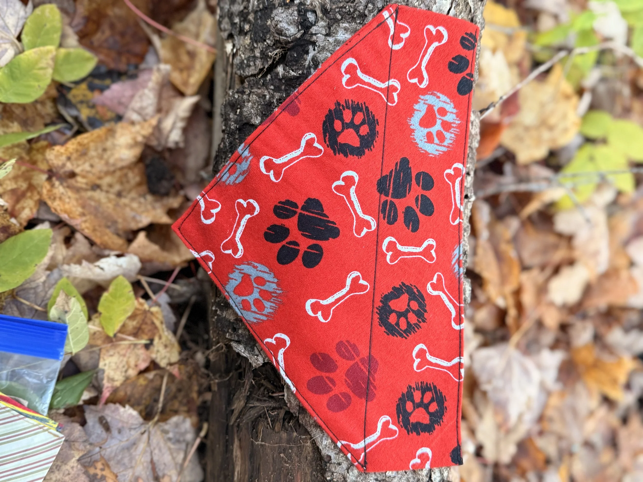 Foulard - Pattes et Os