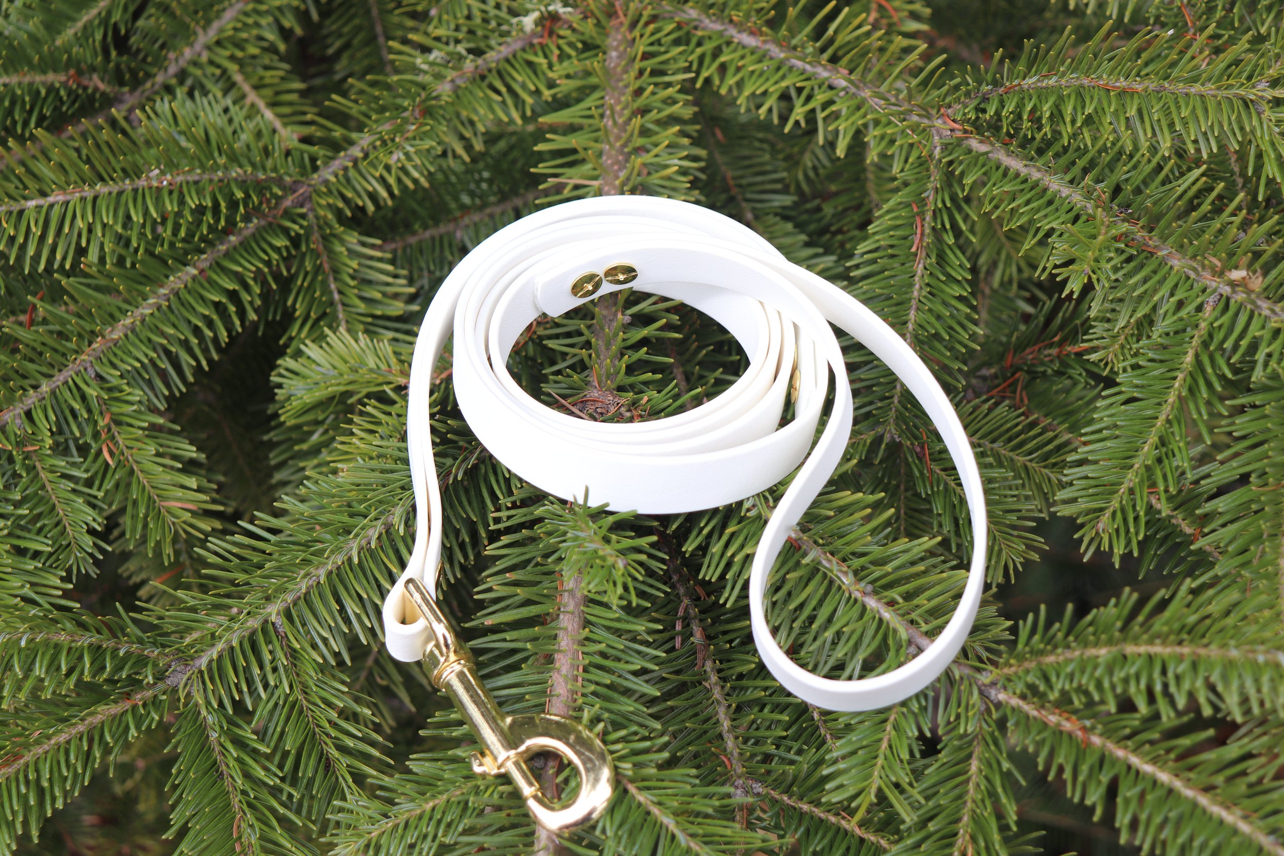 Laisse Simple - Blanc