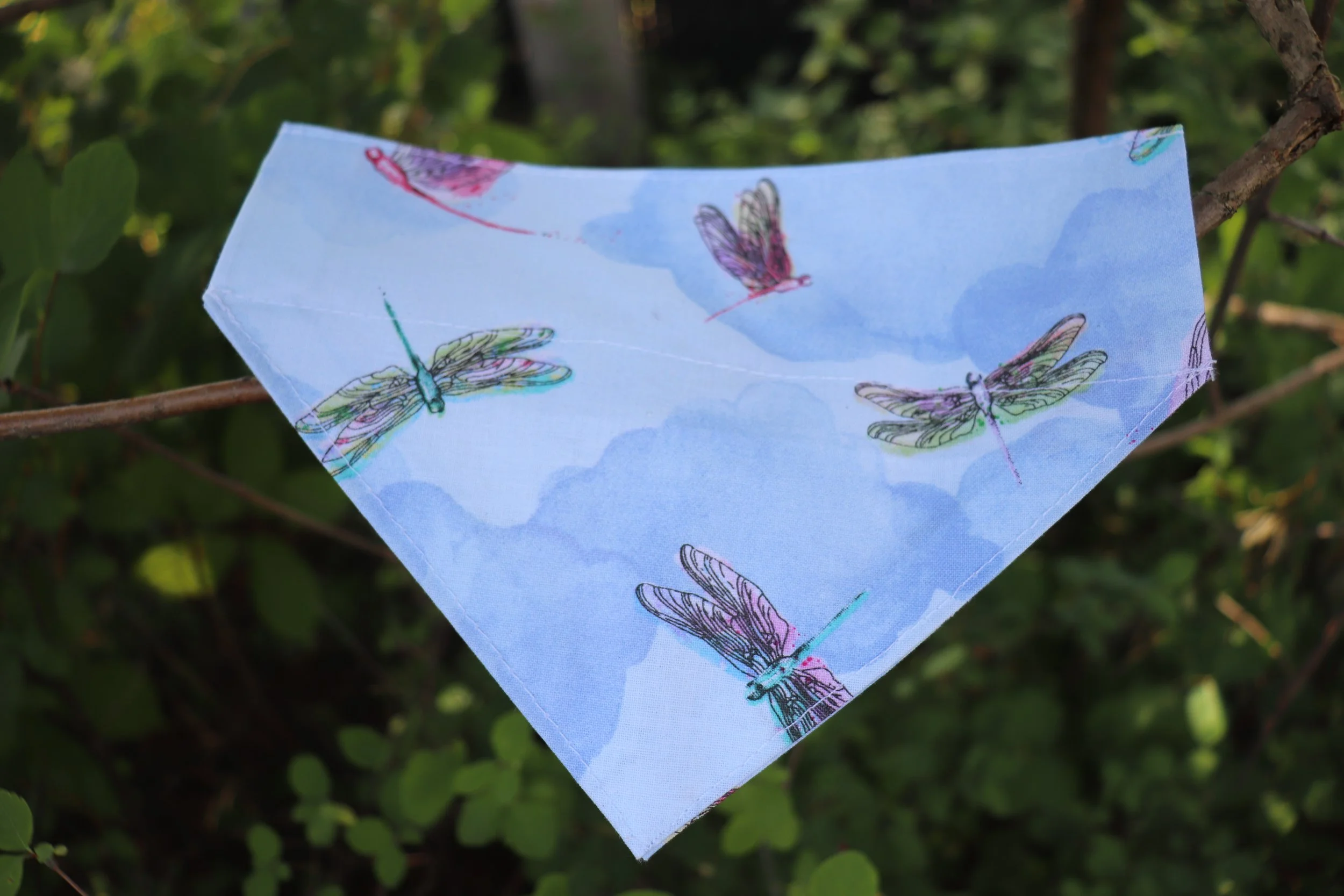 Foulard - Libellule