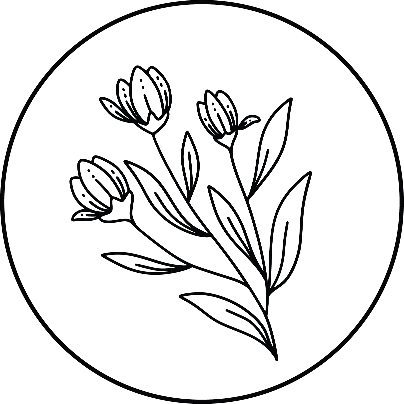 Birth doula support in Massachusetts shown with a delicate flower drawing within a circle.