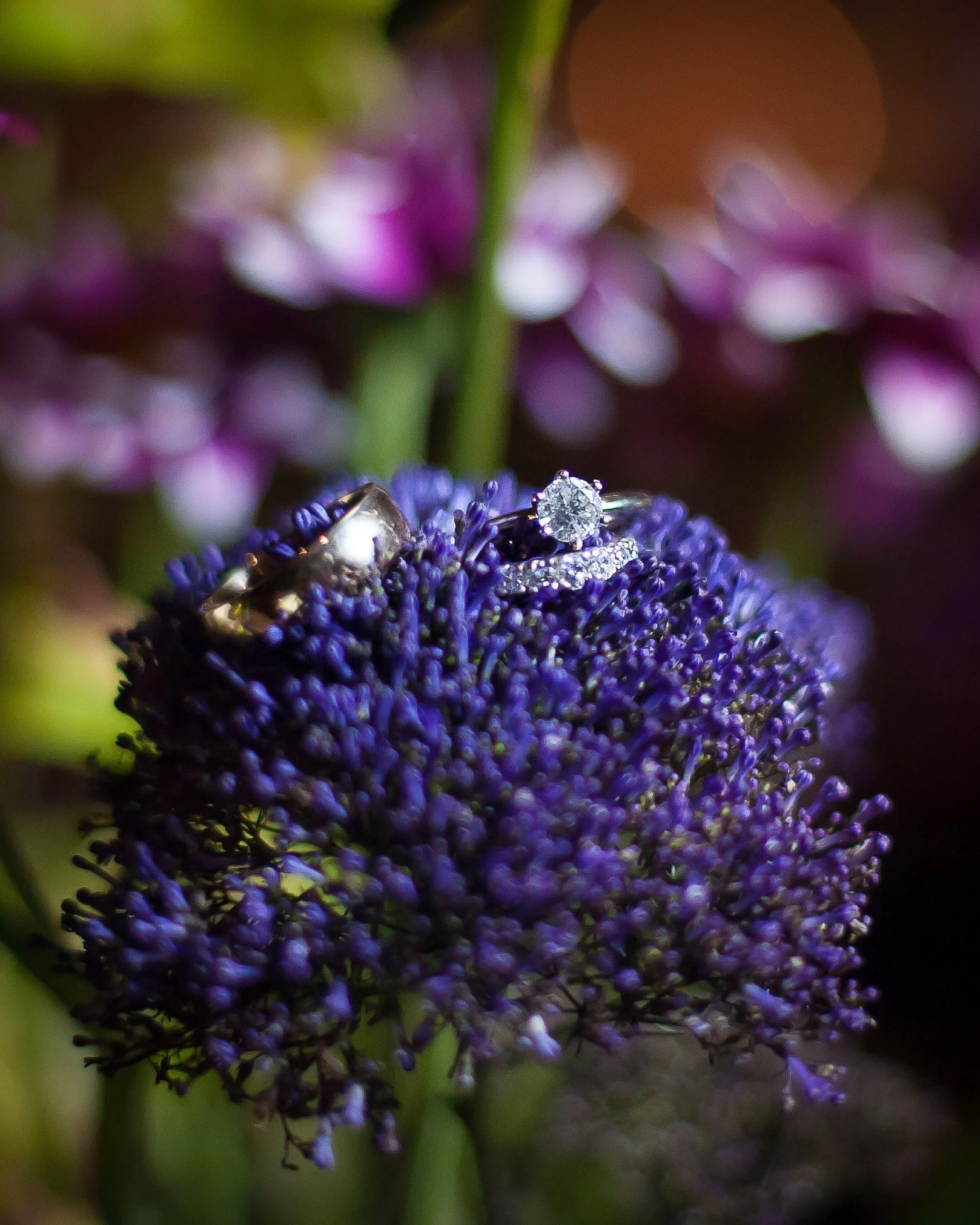 Seastar Imagery Weddings Outer Banks (14 of 14).jpg