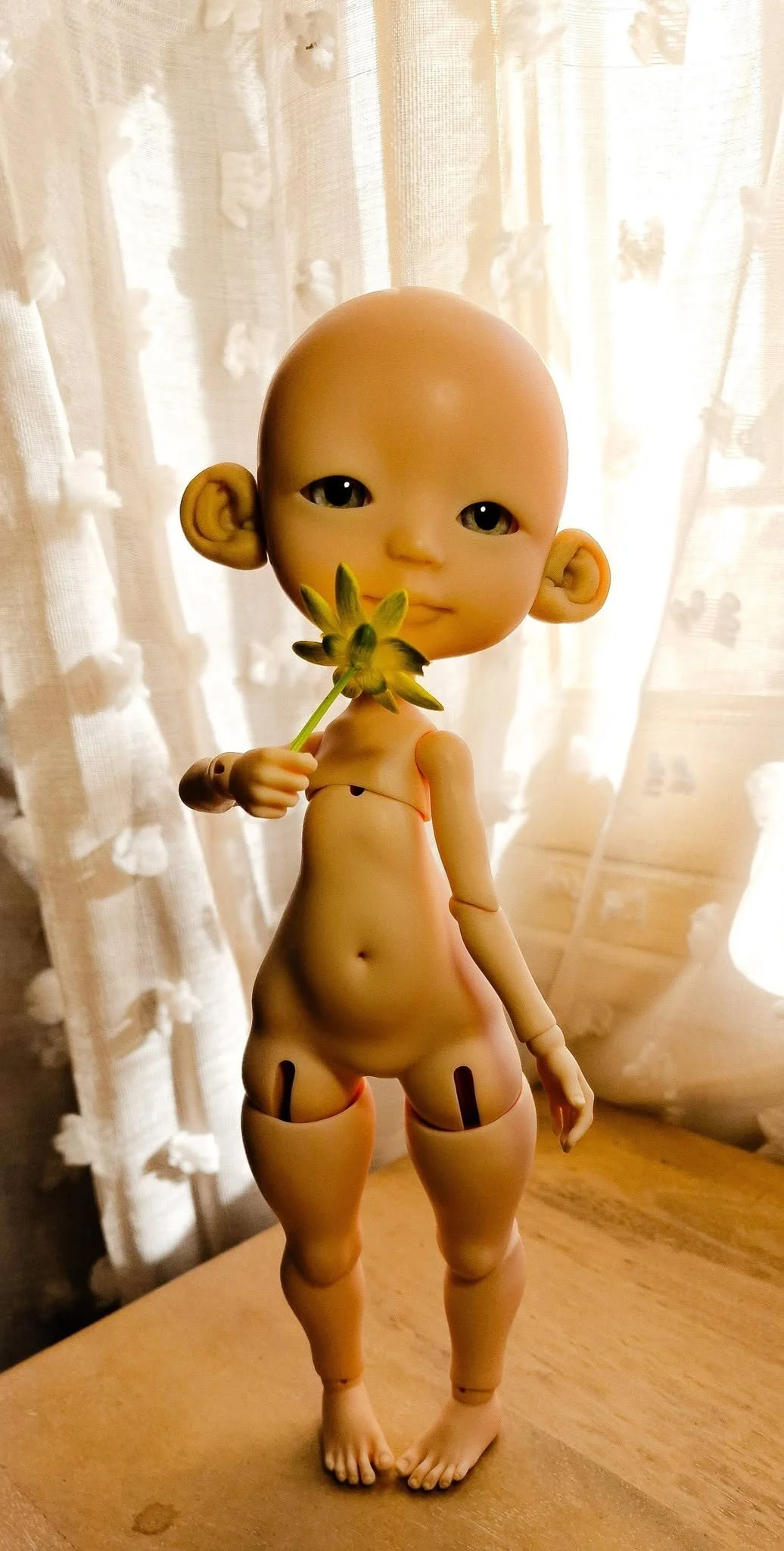 642217415_10163795903969643_1755620276848010542_n.jpg