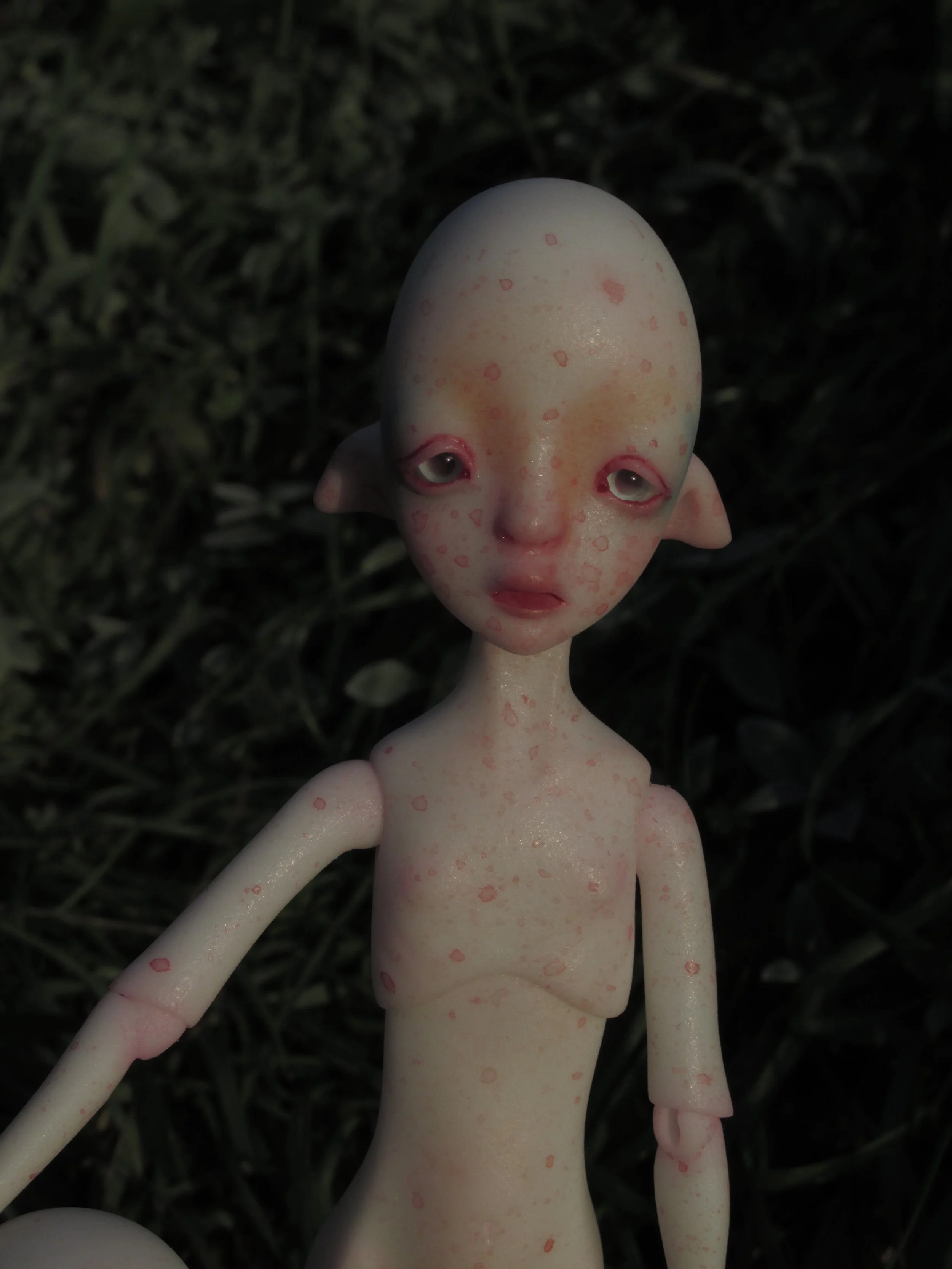 005.jpg