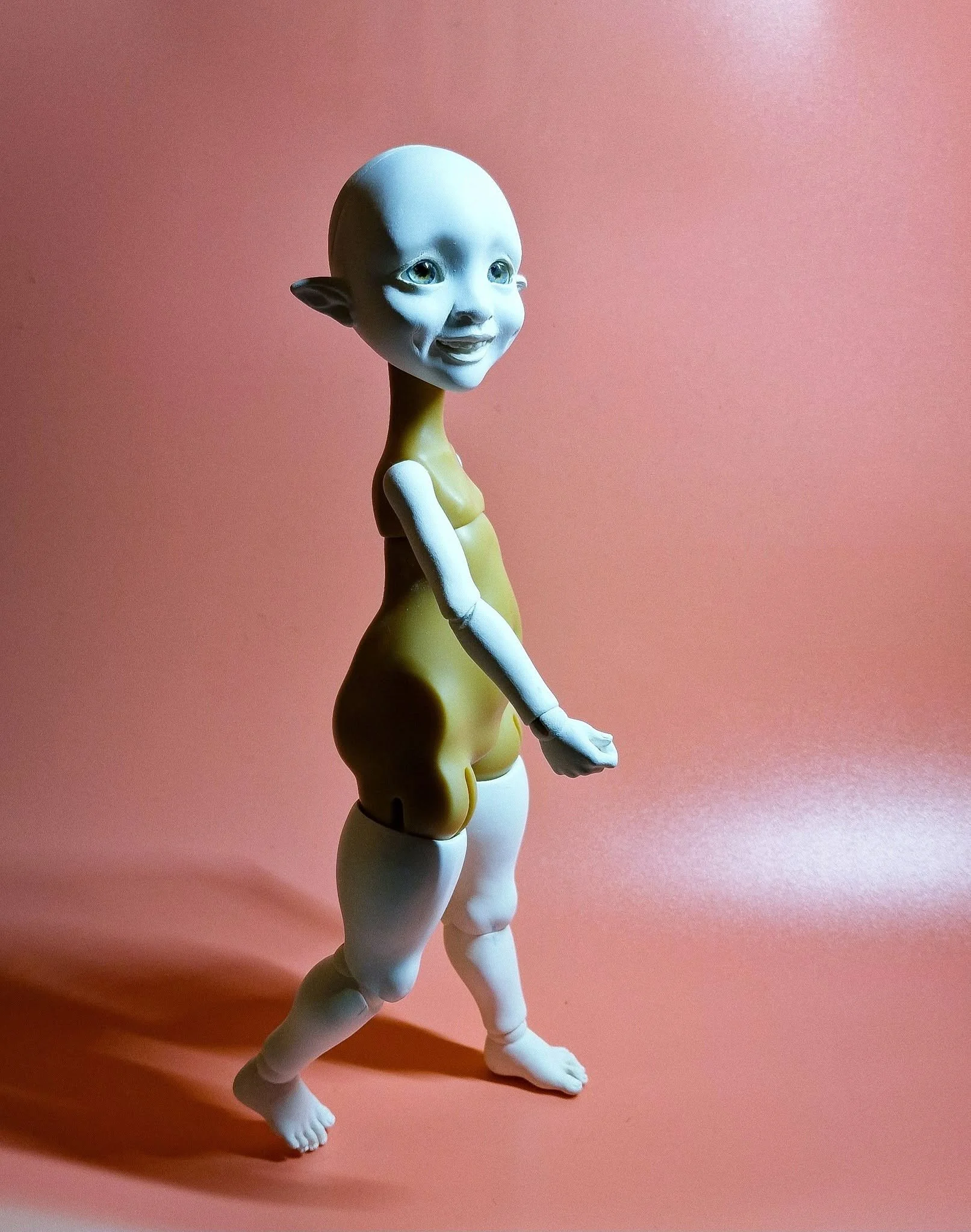 475271159_10162099679079643_8981041083354390783_n.jpg
