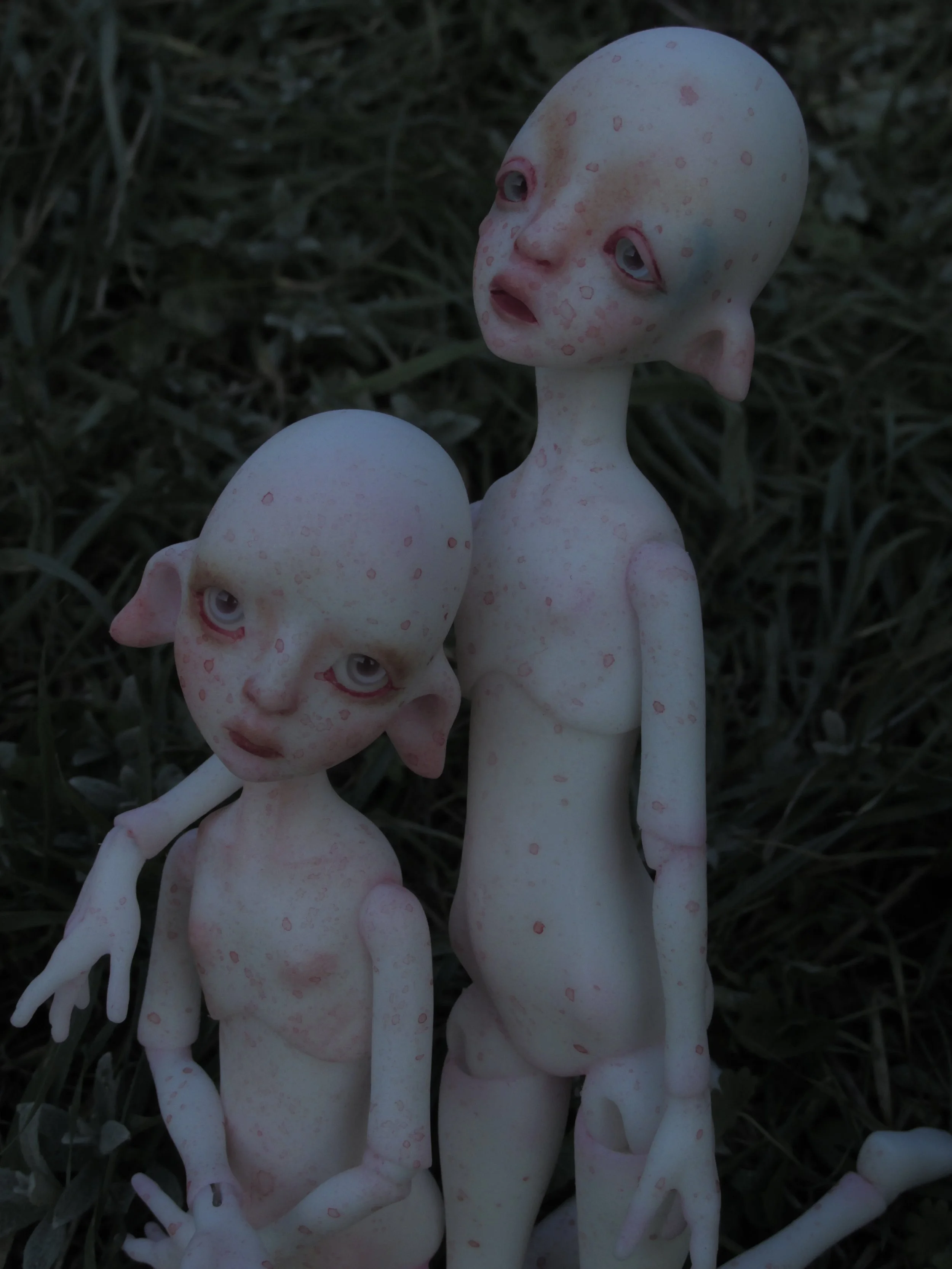 009.jpg