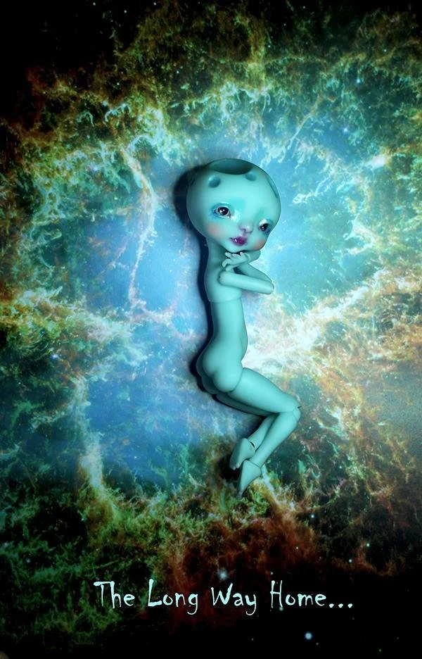 22835271_10155783358434643_124616258_n.jpg