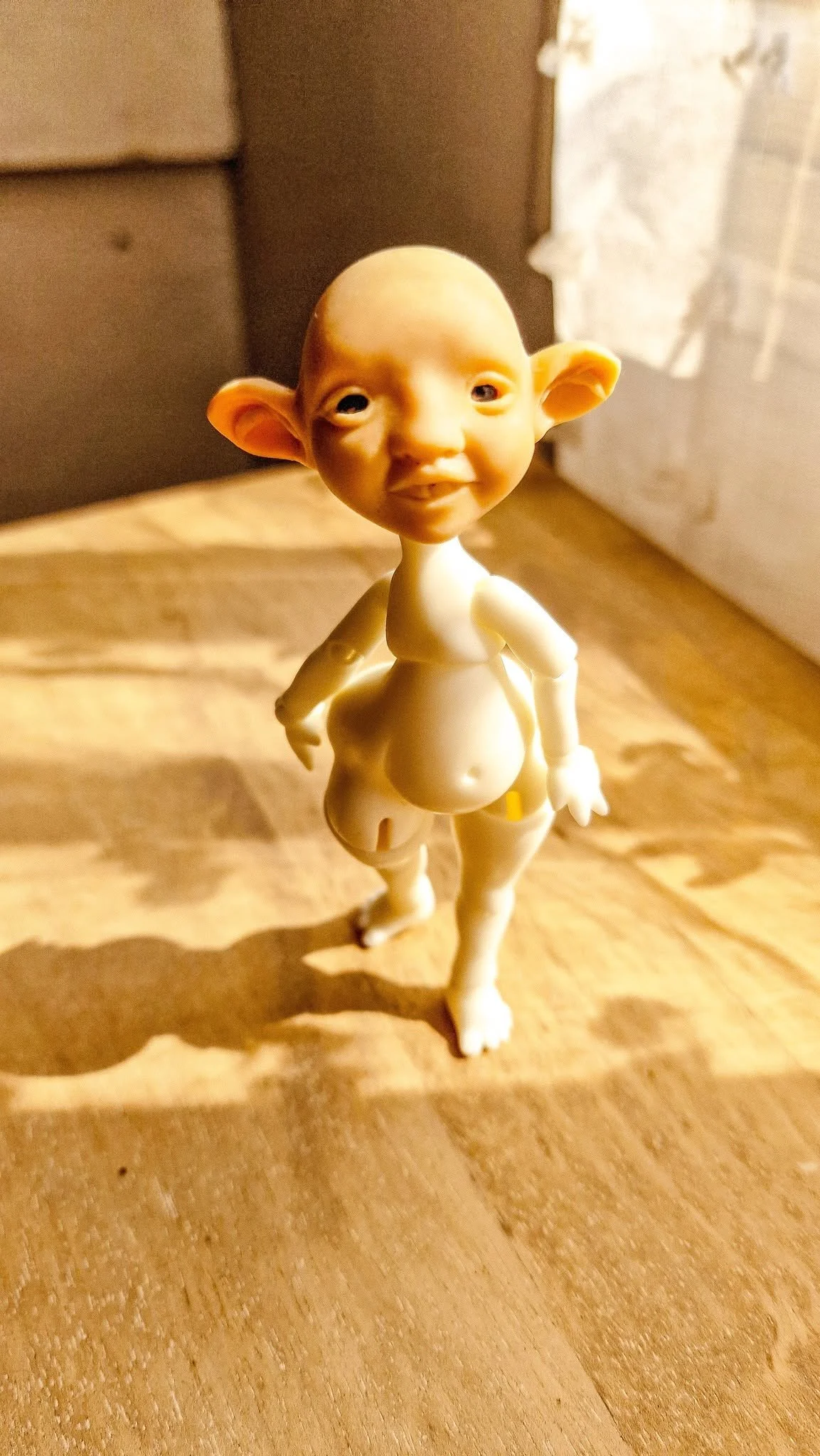 504086470_10162561170334643_1477109478774521716_n.jpg