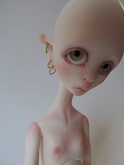 0243.png