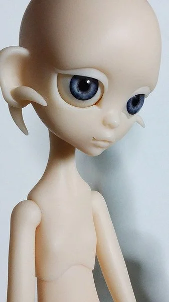 lemur18.jpg