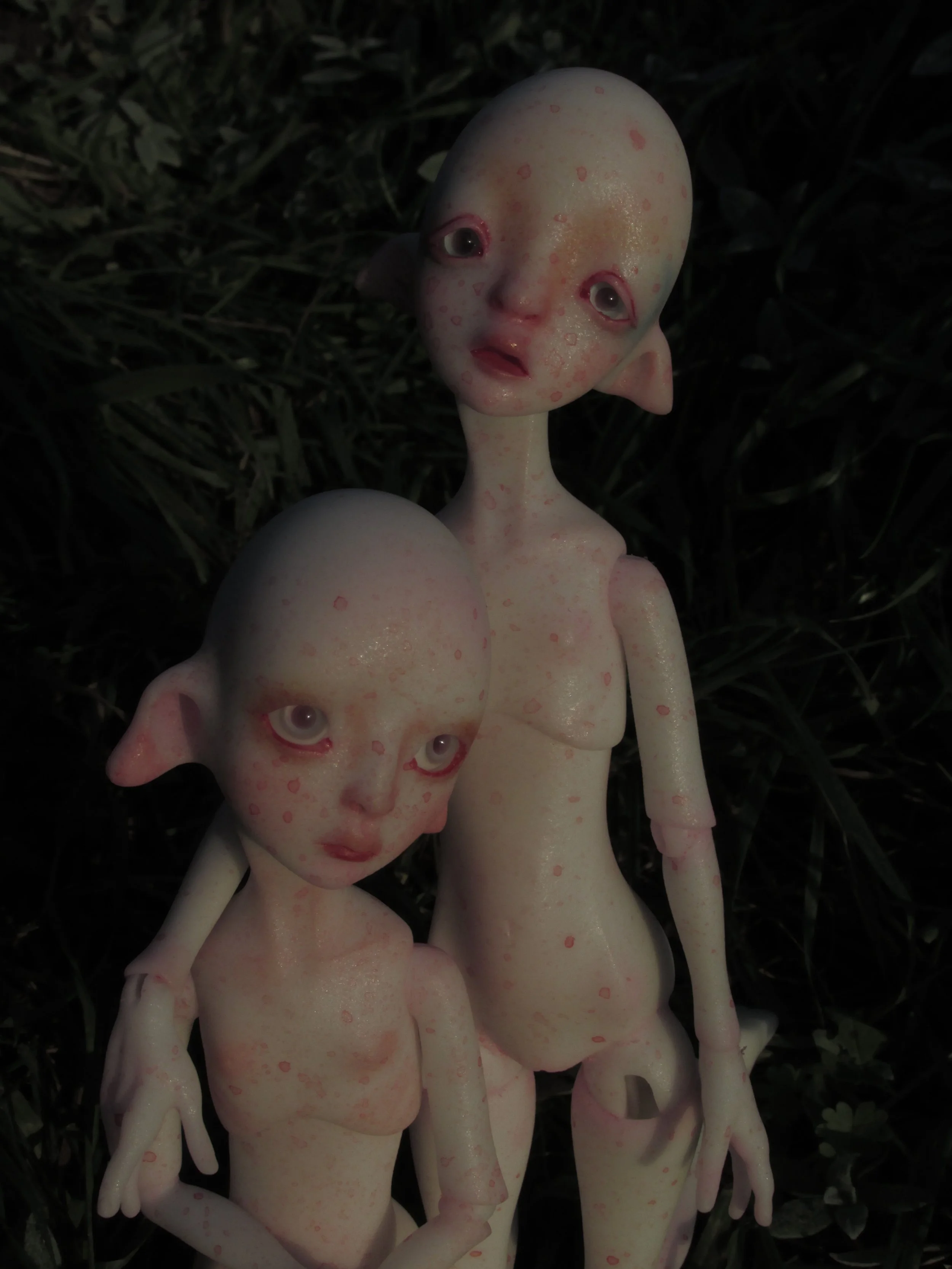 008.jpg