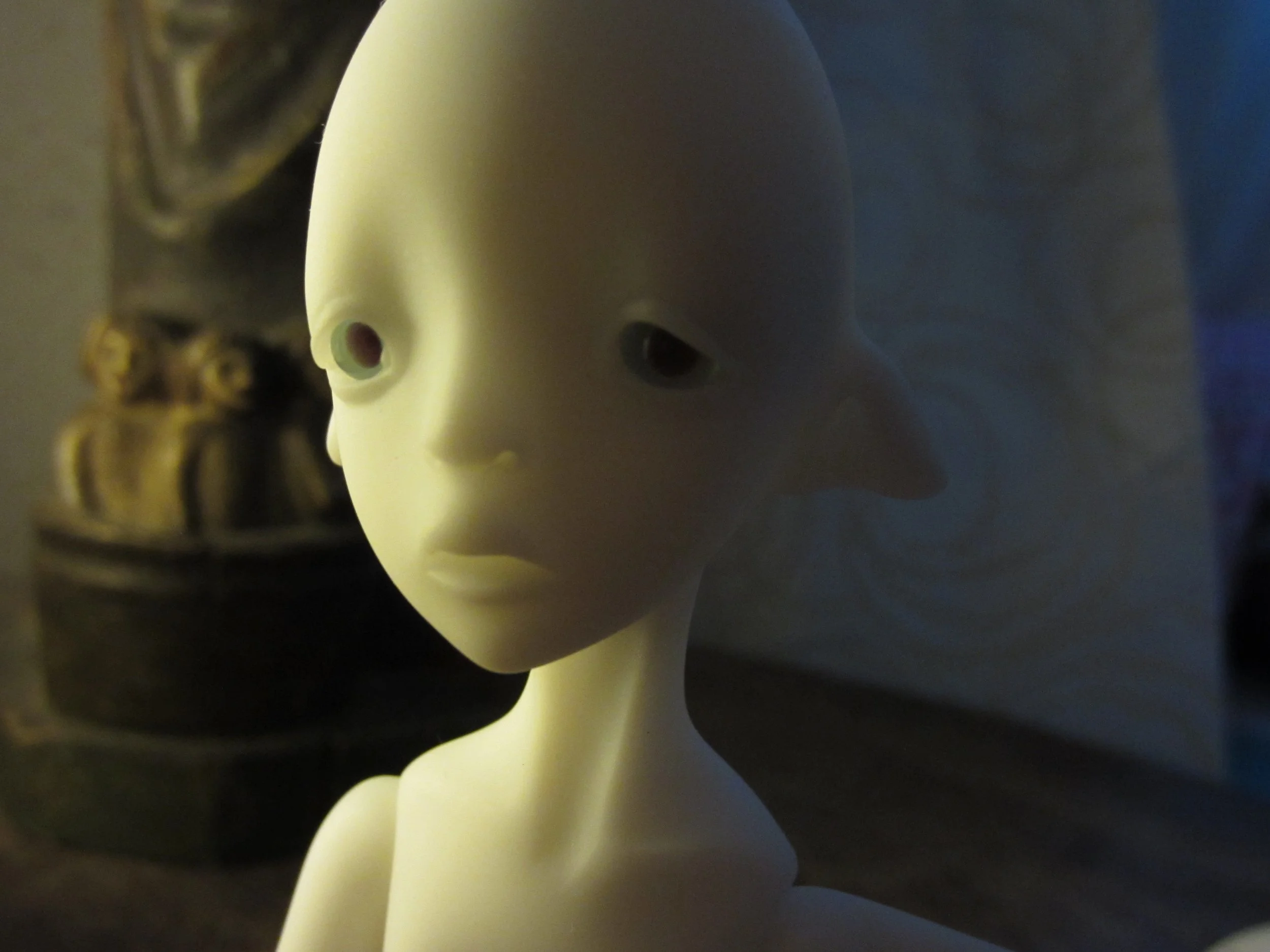 195.jpg