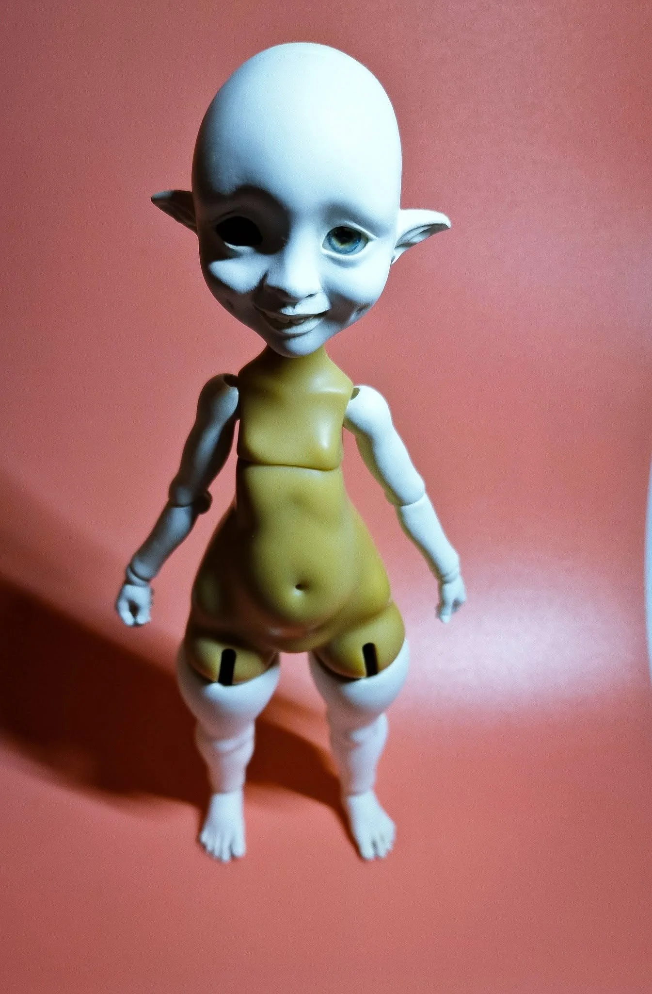 475479959_10162099678149643_9004398913545588421_n.jpg