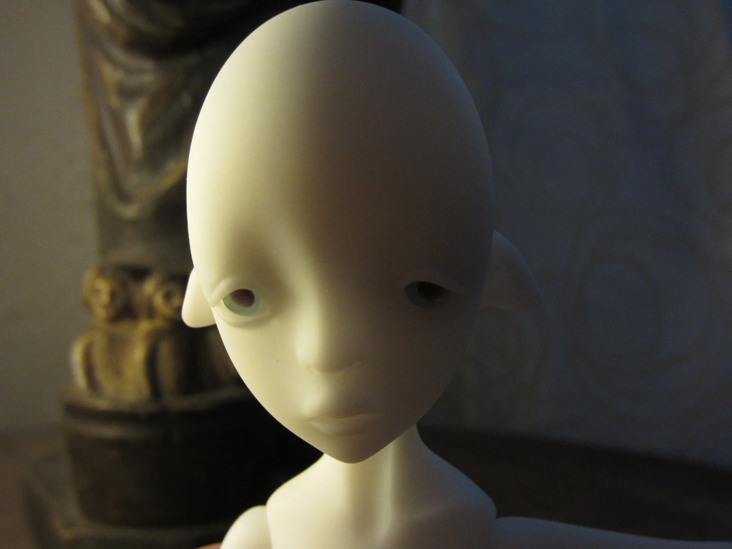 191.jpg