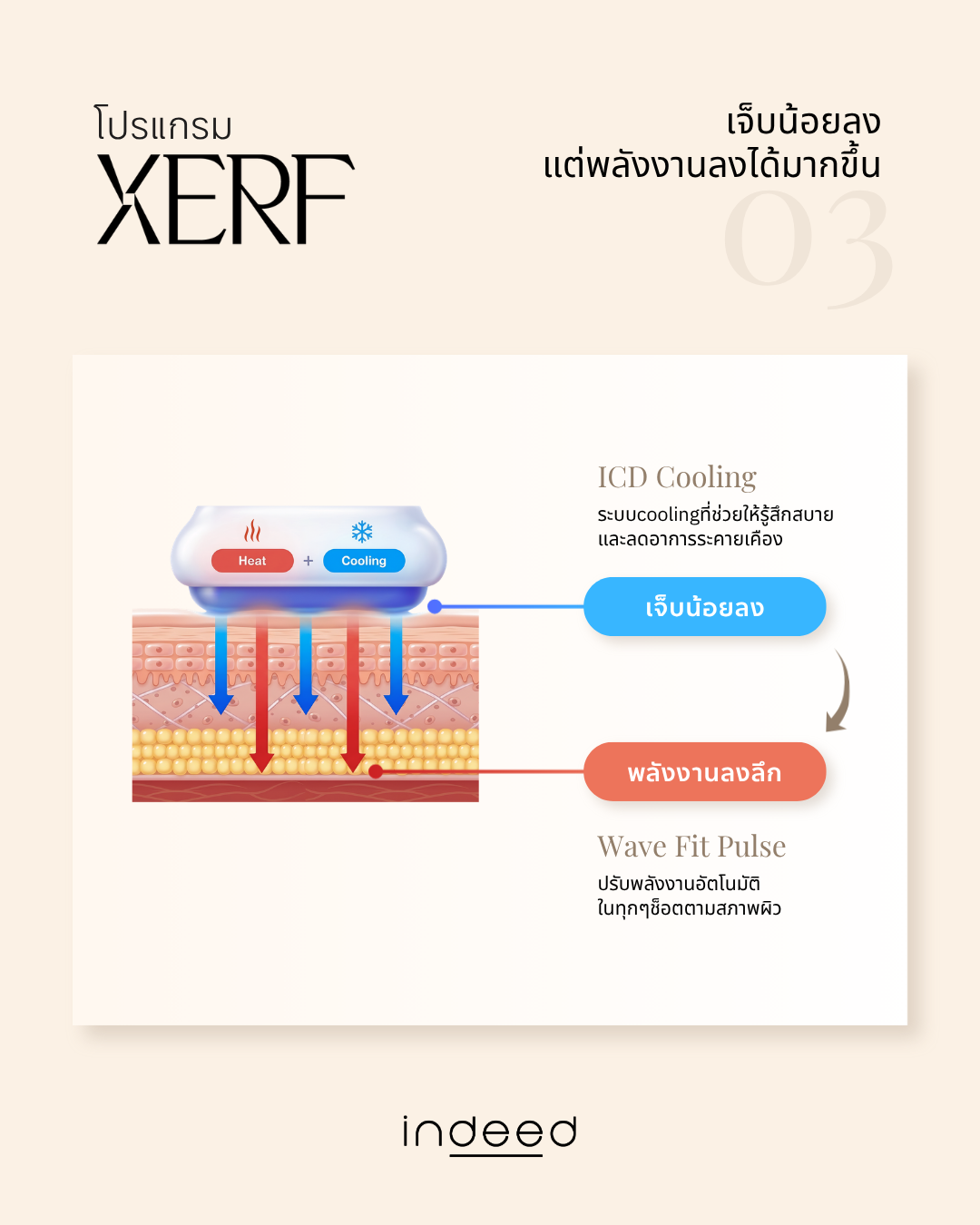 2026 Xerf Early Access (4).png
