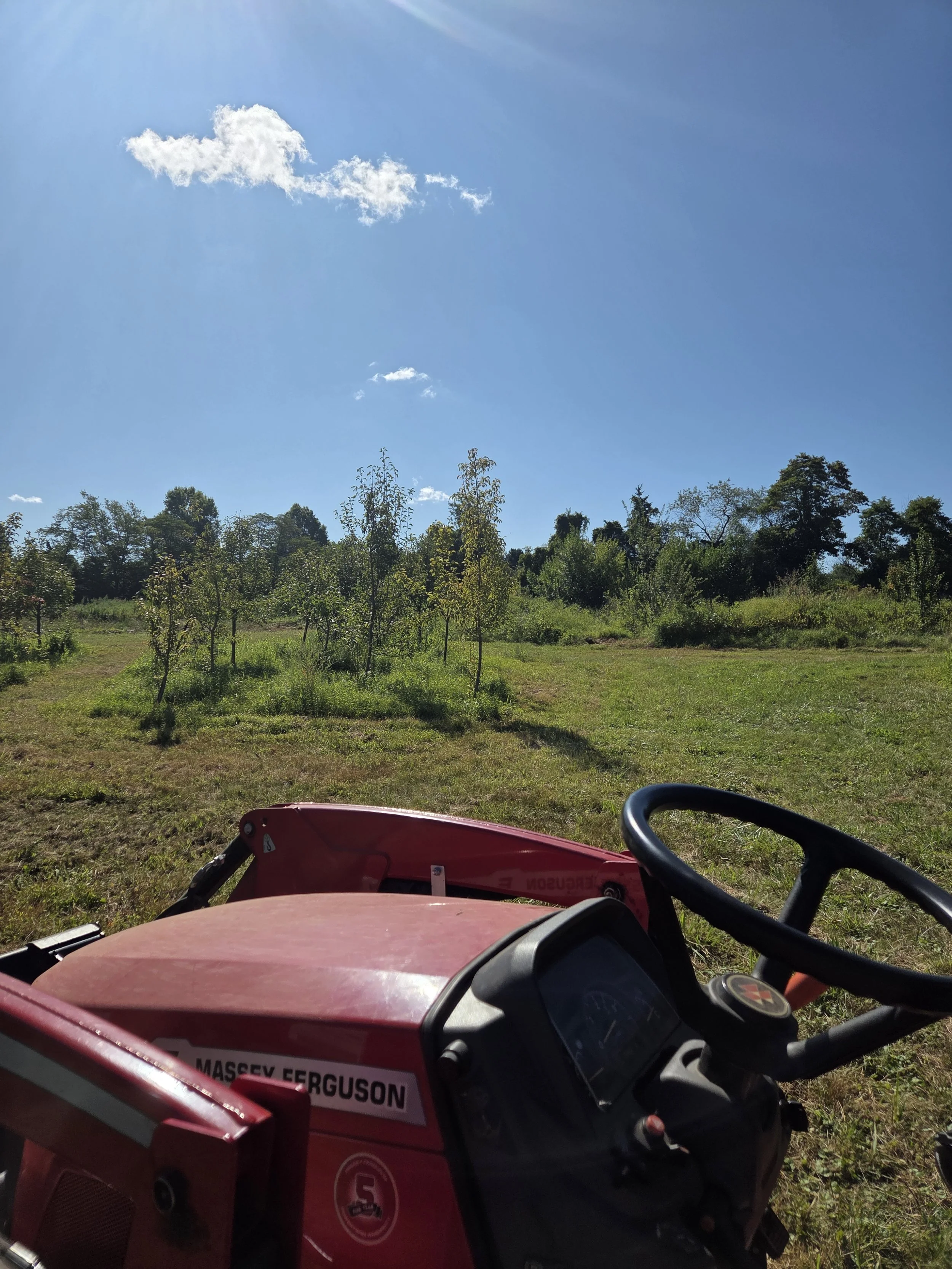 Site Assessment and Sample Collection