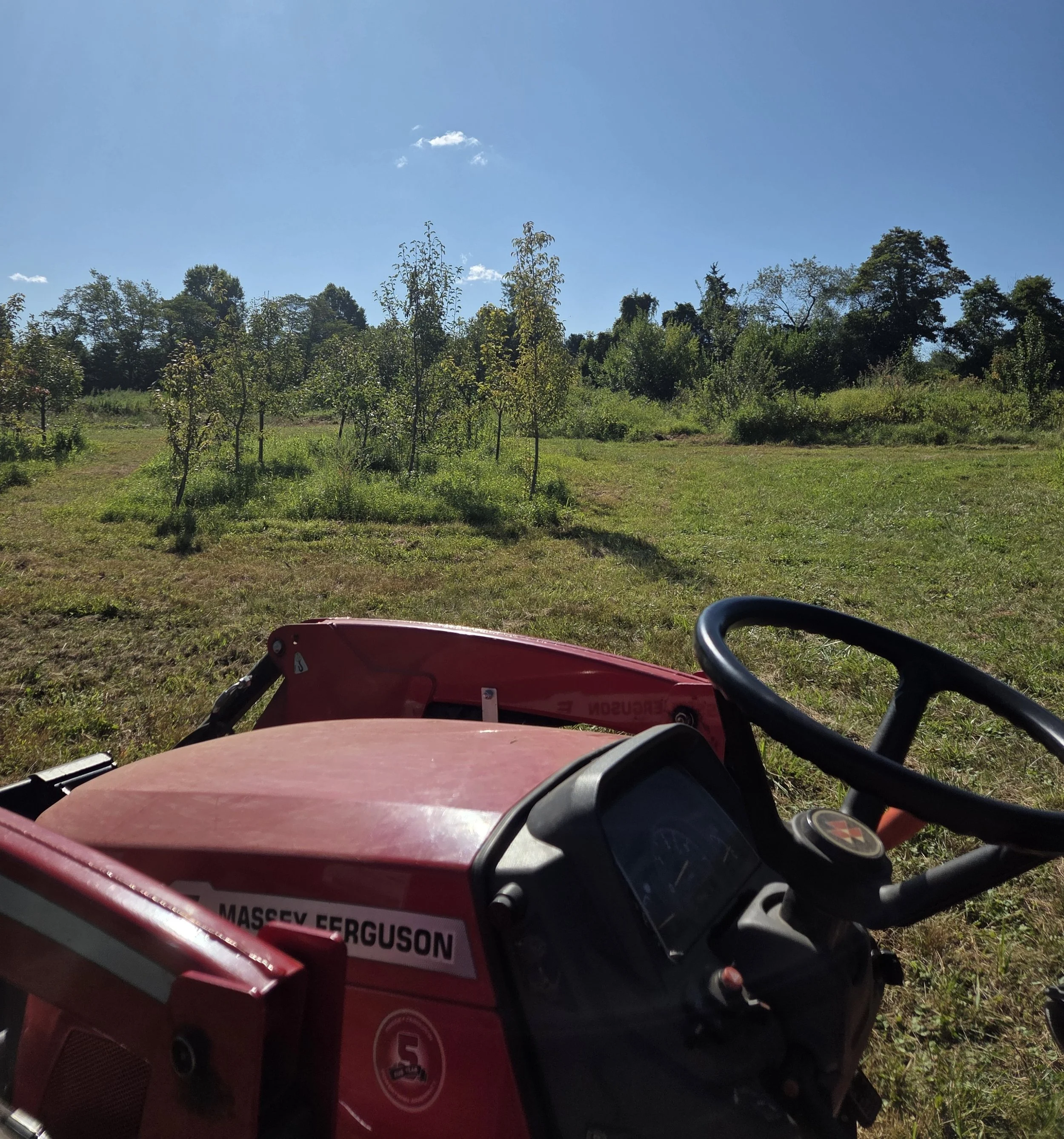 farm 2 2.jpg