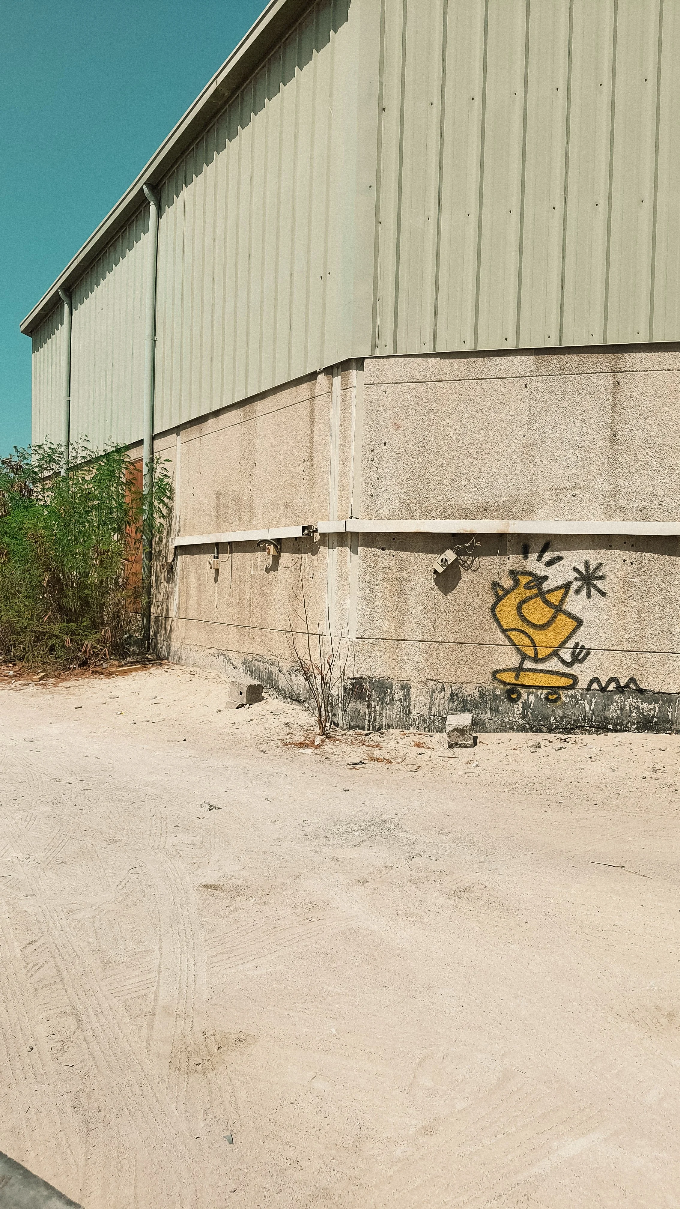 chicken-skating-graffiti-dubai.jpg
