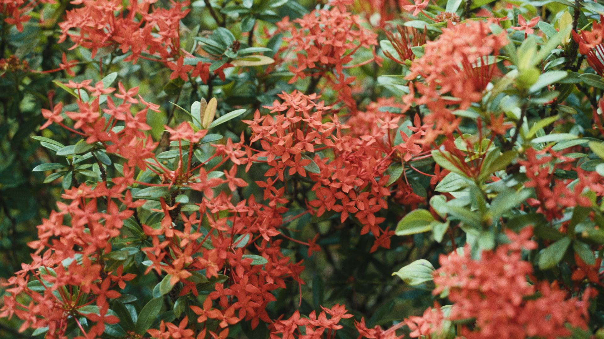 Still 2025-04-02 150512_2.149.1.png